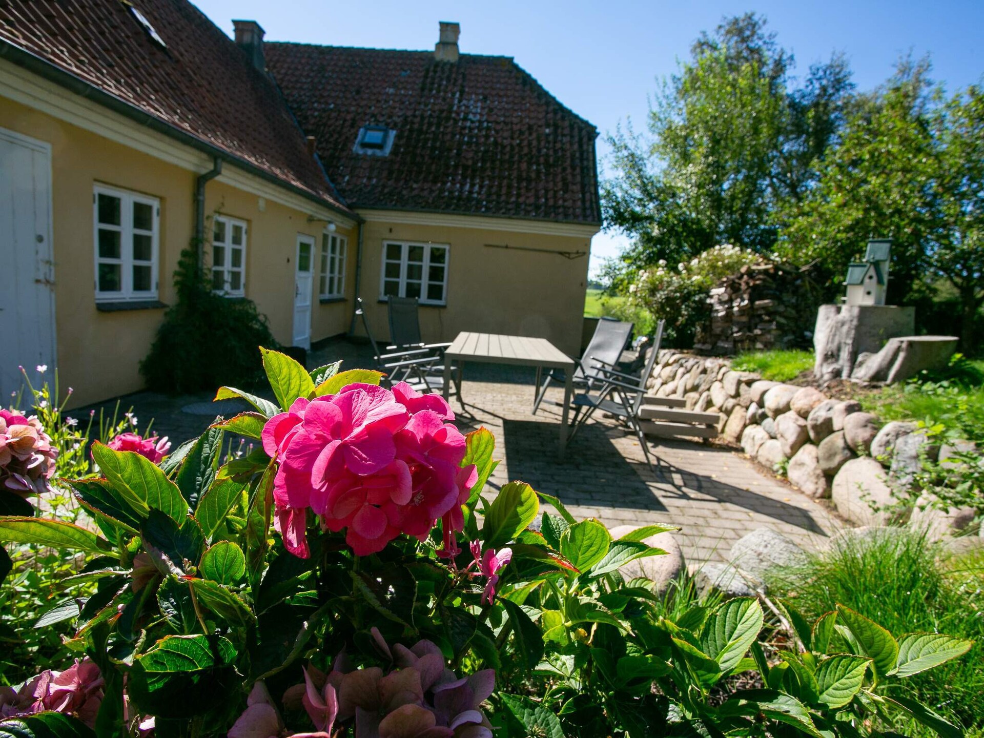 Licht vakantiehuis bij Tranekær met uitzicht op velden en wilde paarden - foto 5