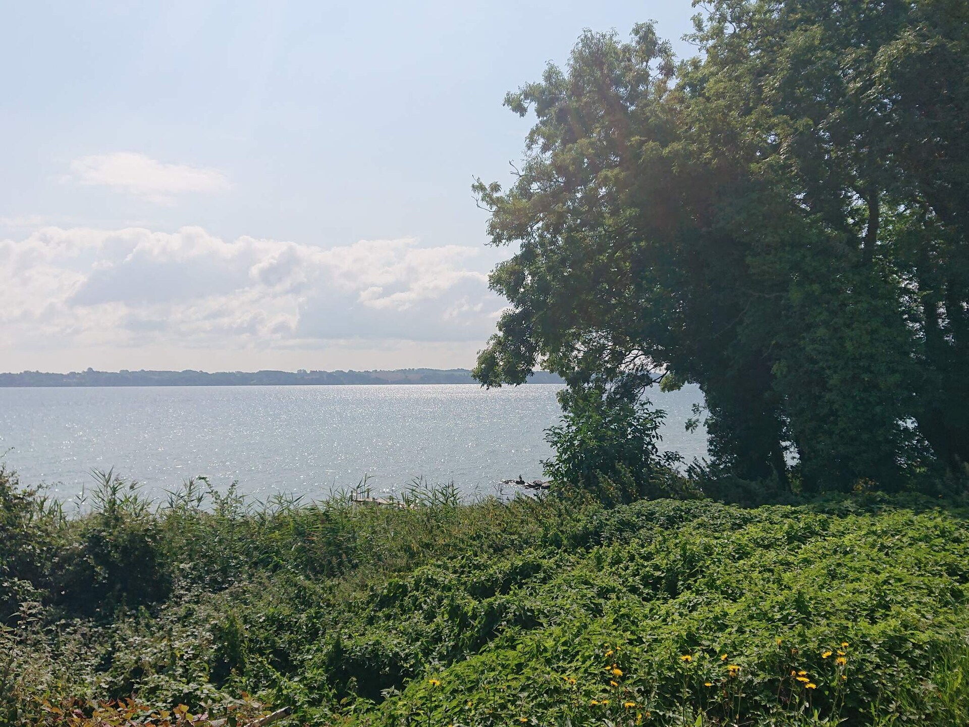 Knus vrijstaand vakantiehuis op 20 meter van het strand bij Aabenraa - foto 16