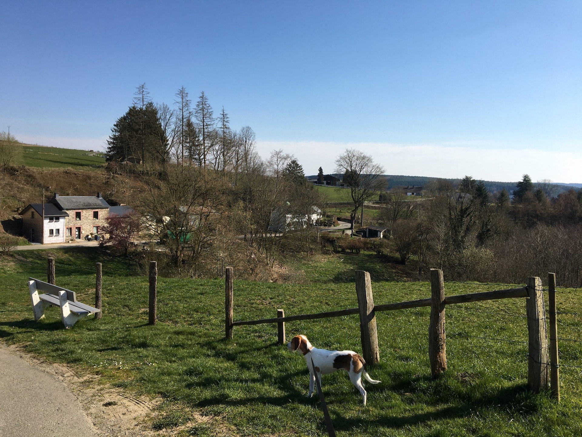 Luxe vakantiehuis Les 5 Ourthes in Houffalize voor 28 personen - foto 30