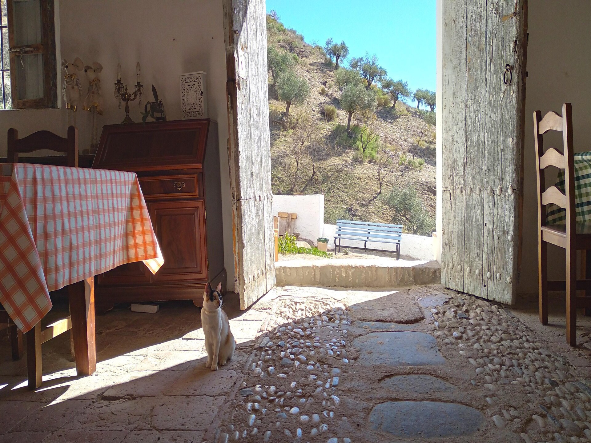 Authentiek landhuis voor 16 personen met panoramisch uitzicht in Málaga - foto 12