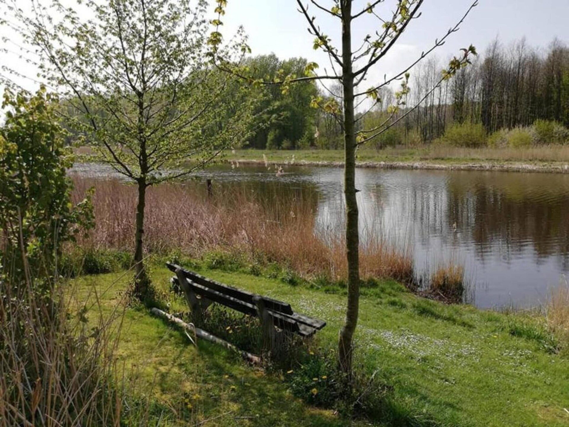 Villa Bosrijk: Luxe villa aan het Horsterwold voor 10 personen - foto 39