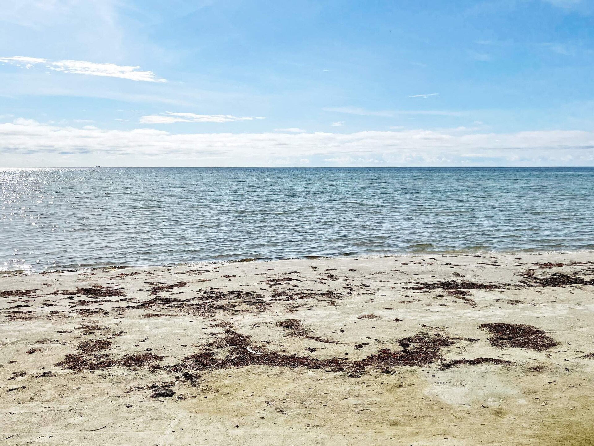 Zonovergoten vakantiehuis bij het strand van Sandviken, Sölvesborg - foto 10