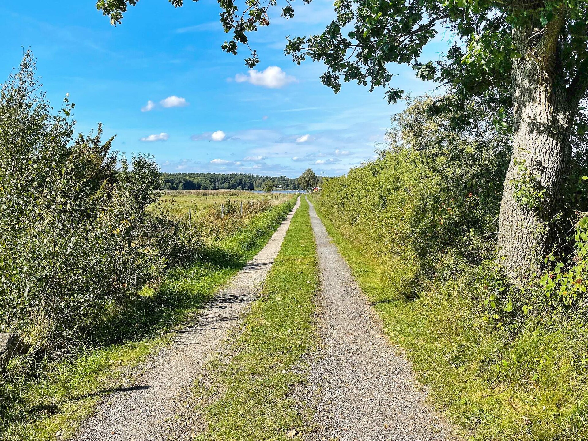 6-persoons vakantiehuis aan zee in Sölvesborg · 75 m² - foto 7
