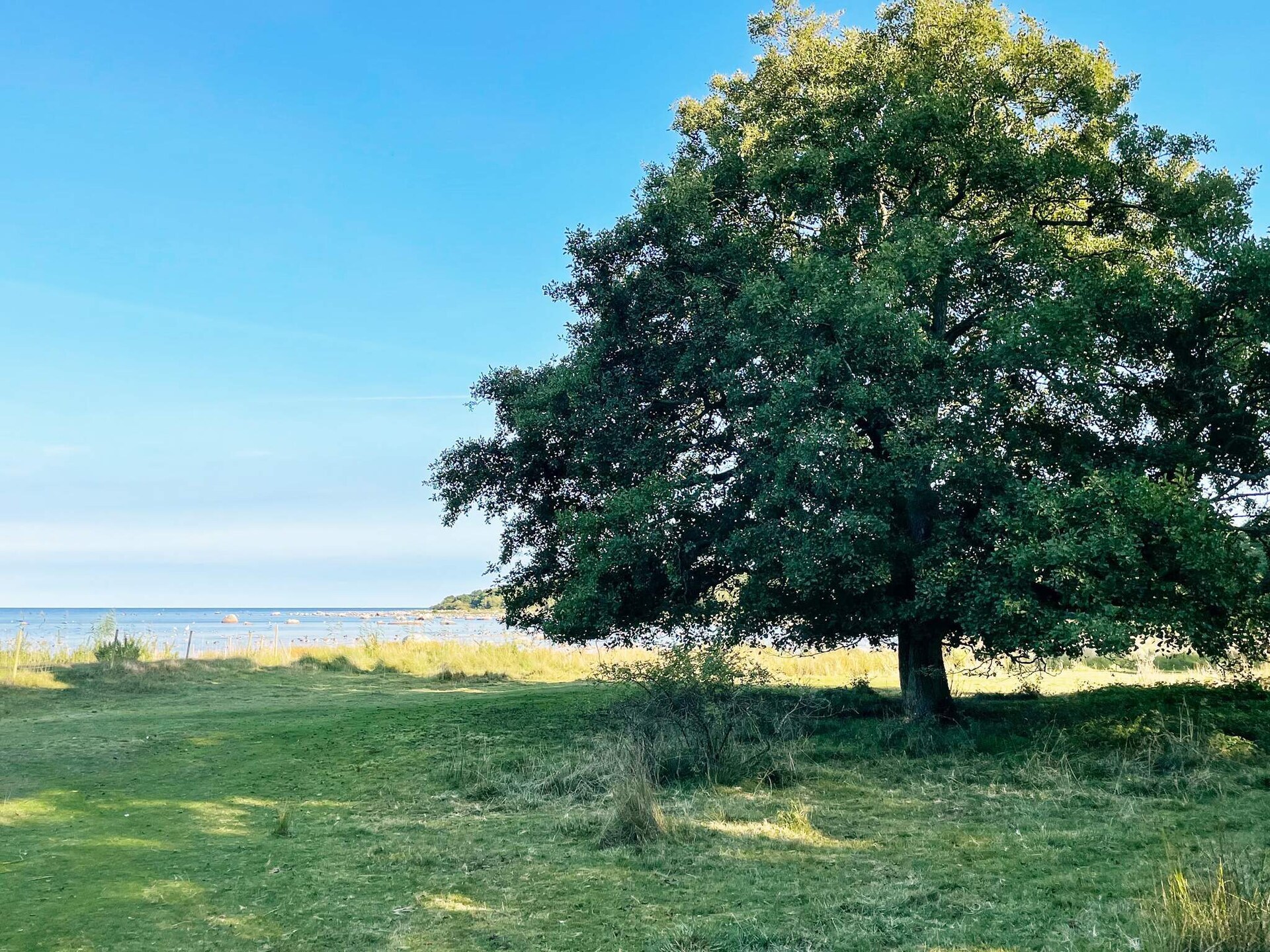 6-persoons vakantiehuis aan zee in Sölvesborg · 75 m² - foto 9