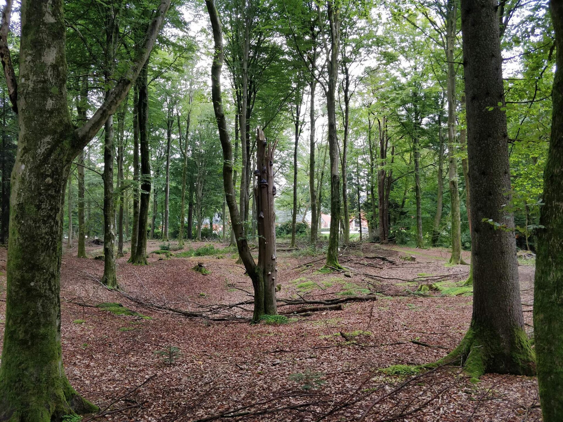 Vrijstaand vakantiehuis aan Skjern Å in Kibæk, Denemarken - foto 2
