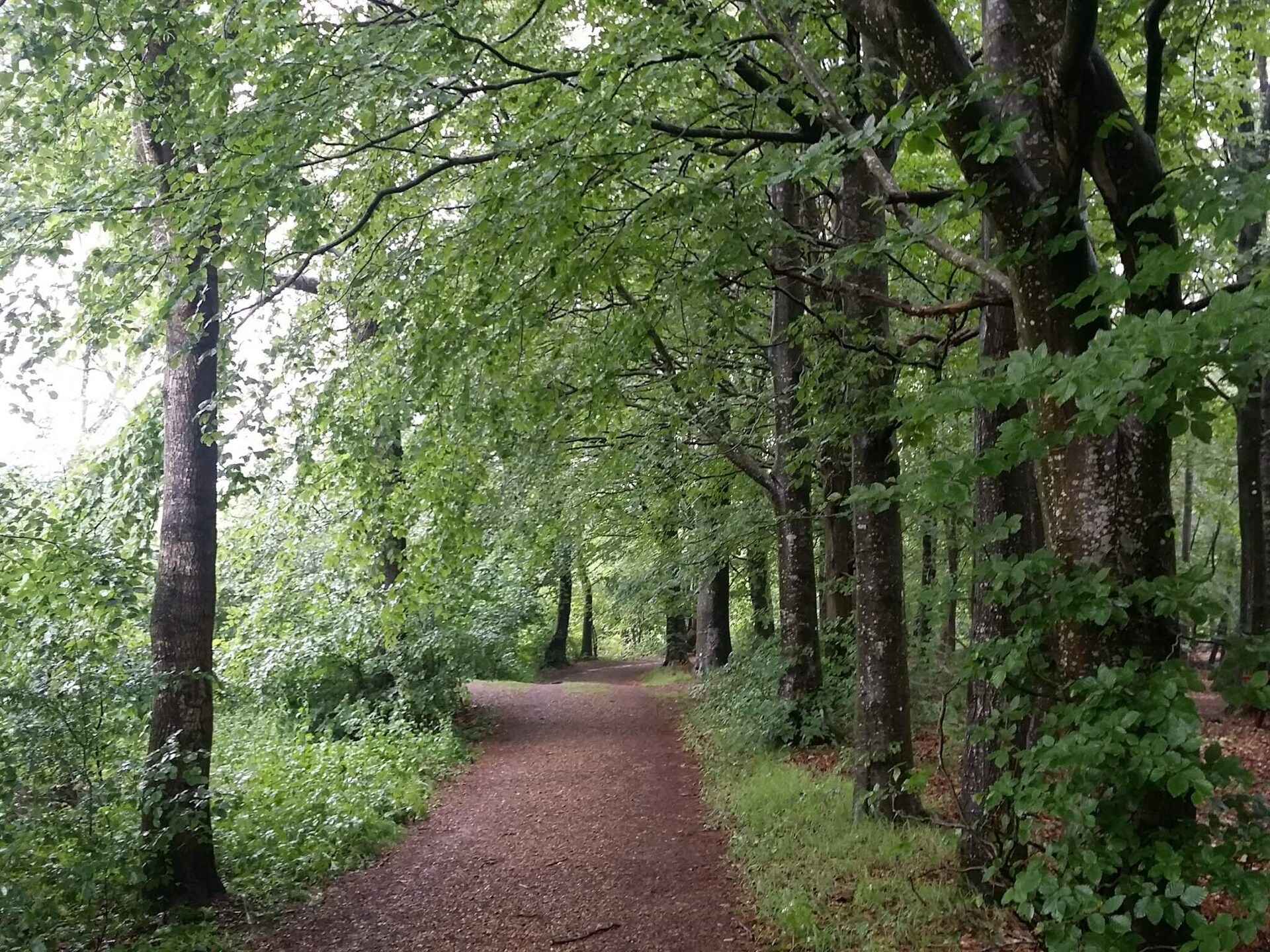 Vrijstaand vakantiehuis aan Skjern Å in Kibæk, Denemarken - foto 8
