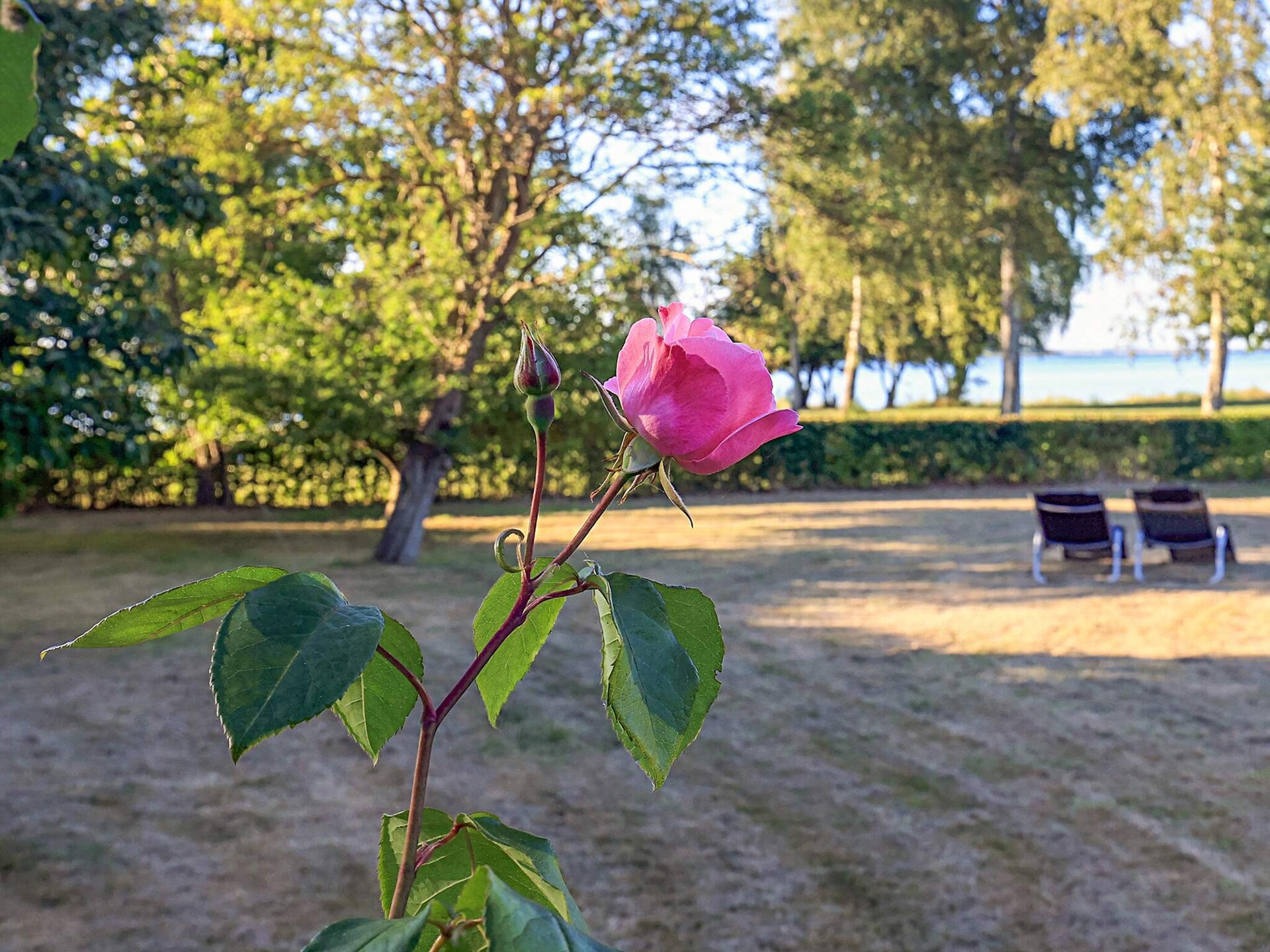 Aan zee: Sfeervol vakantiehuis met hottub in Stubbekøbing - foto 10