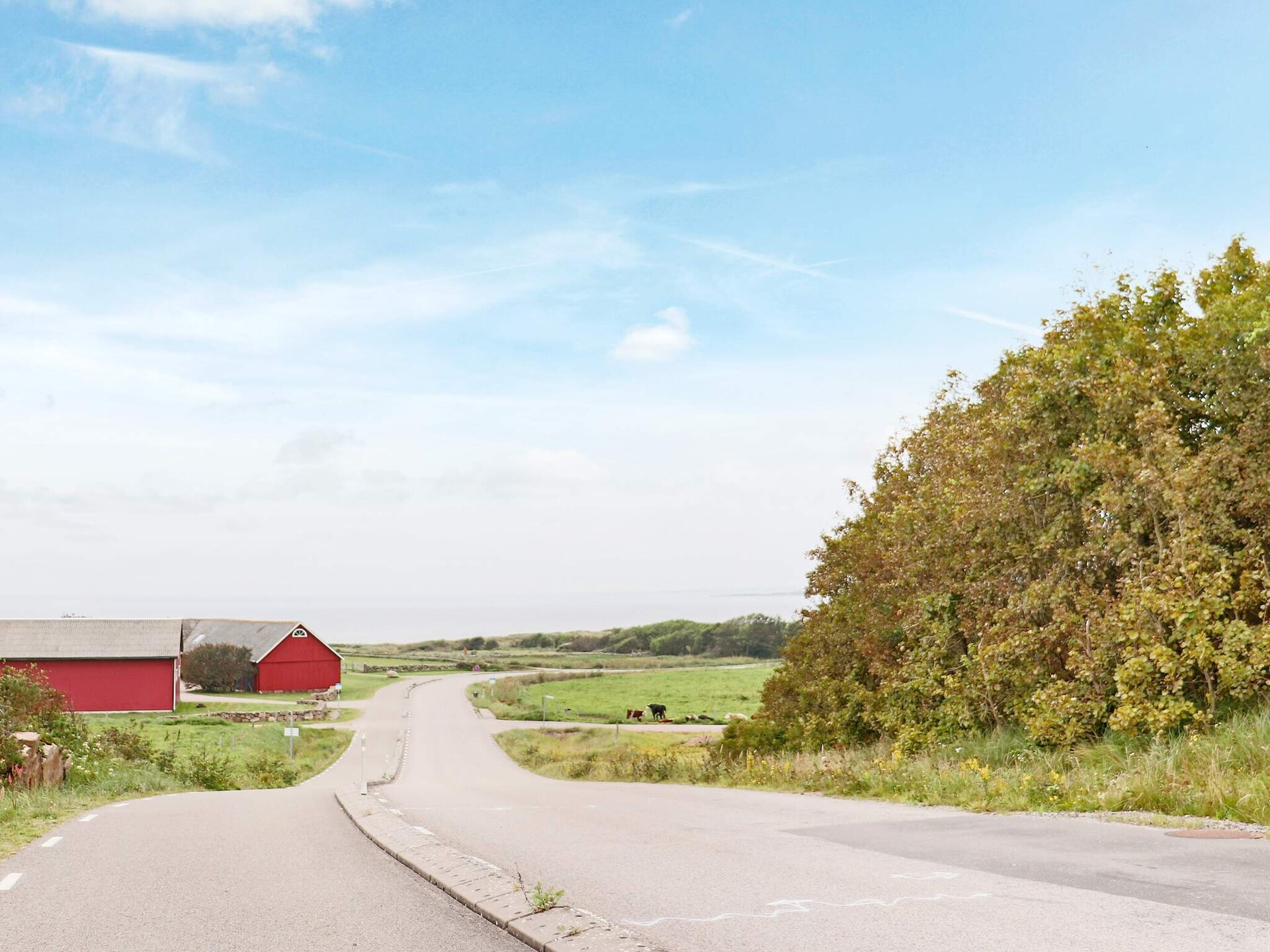 5-persoons vakantiehuis in Falkenberg op 450 m van zee - foto 21