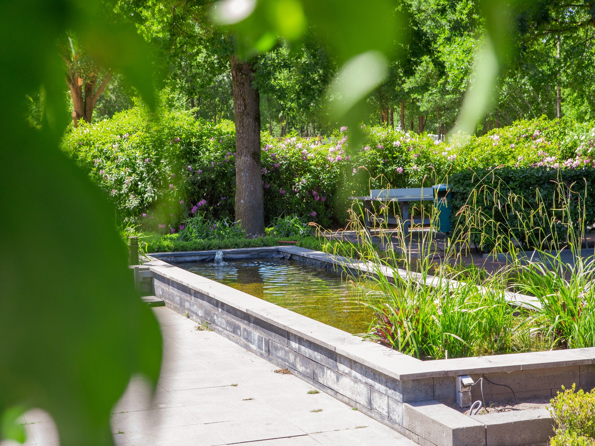 Luxe ecovilla aan het water in Oirschot met buitensauna - foto 16