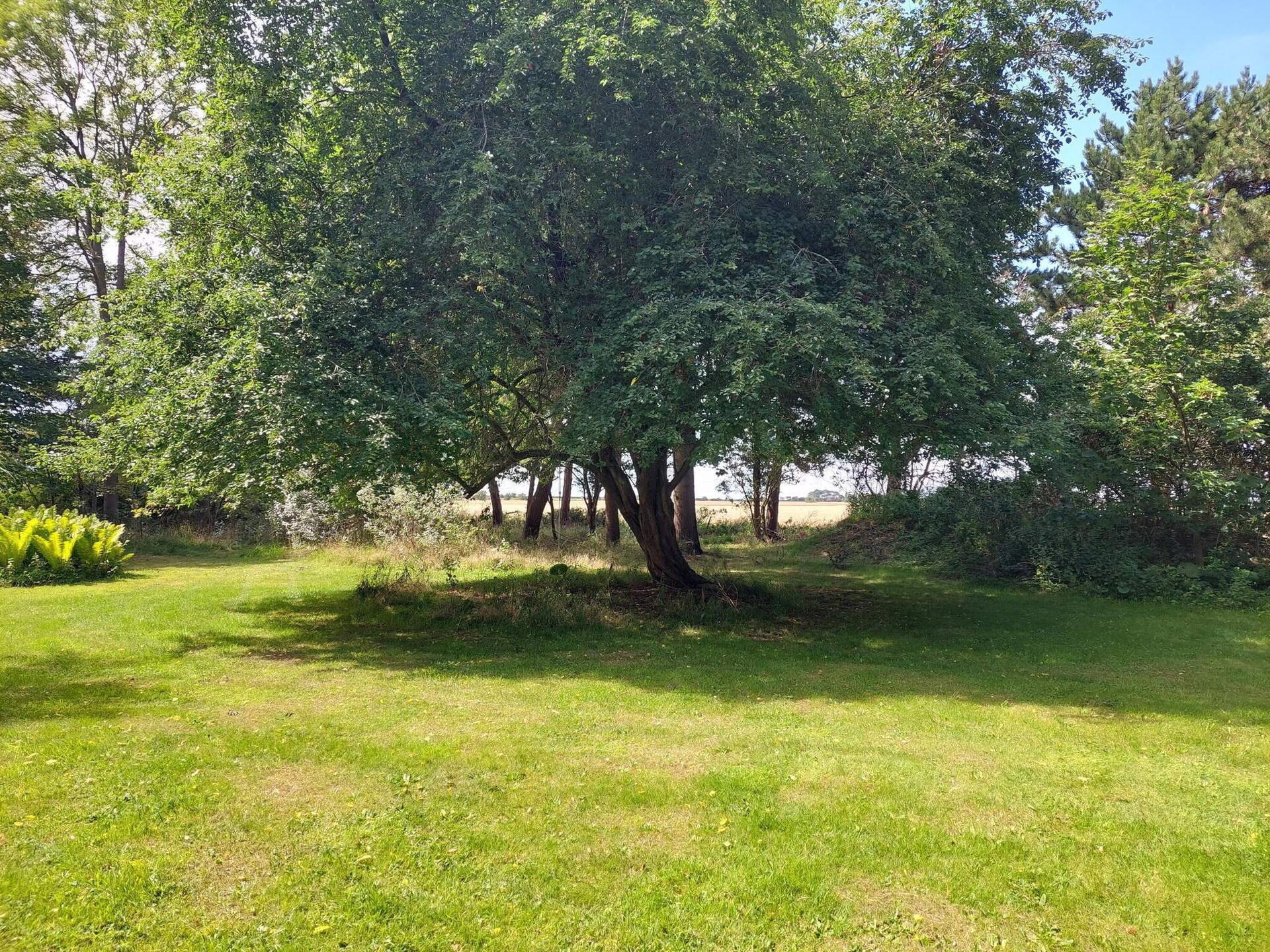 Vrijstaand vakantiehuis bij Hummingen, 580m van het strand - foto 51