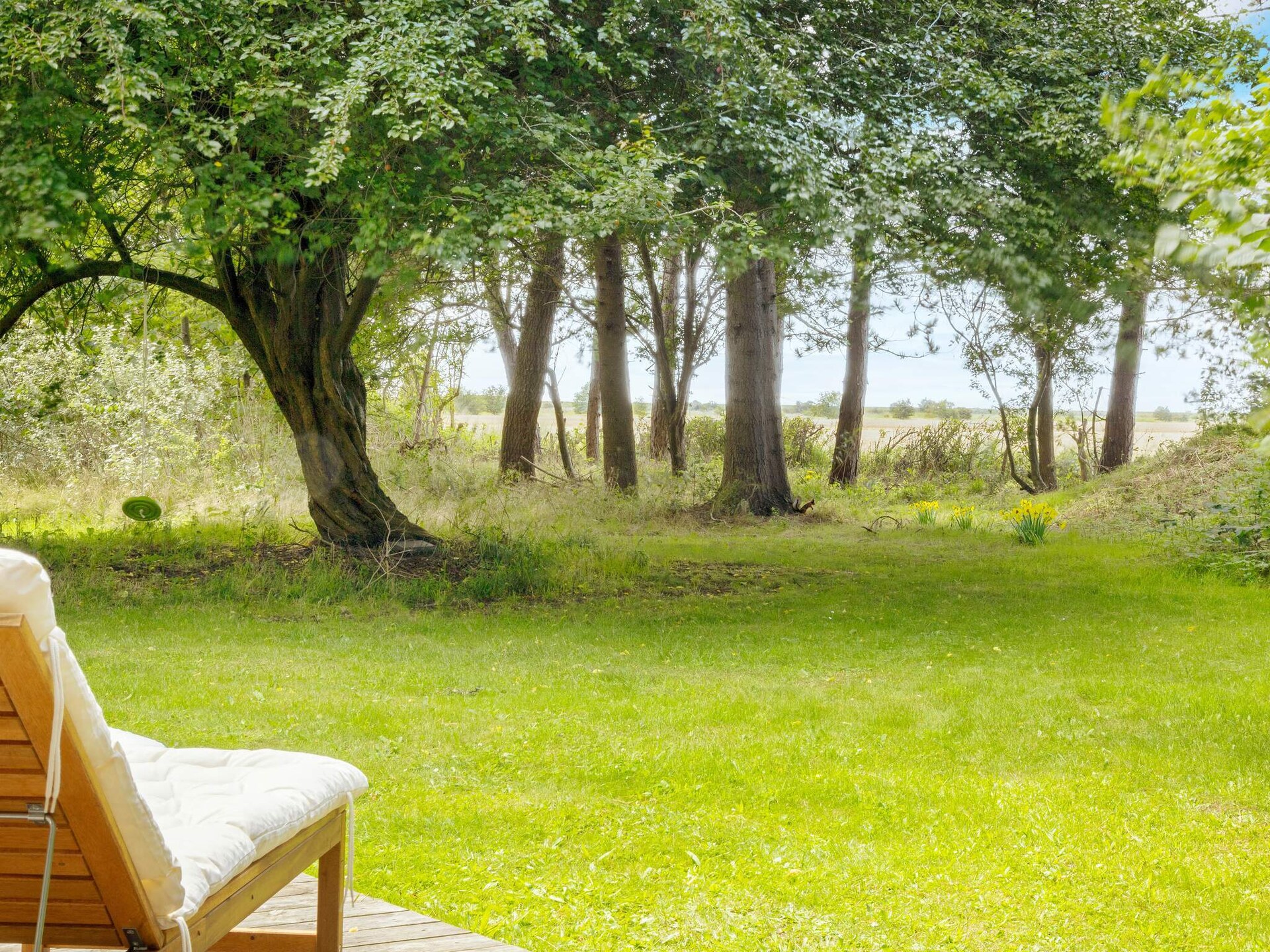Vrijstaand vakantiehuis bij Hummingen, 580m van het strand - foto 5