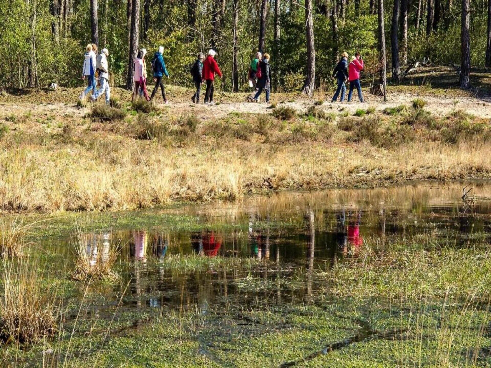 Vrijstaande lodge op Vakantiepark Latour, hartje Brabantse natuur - foto 33