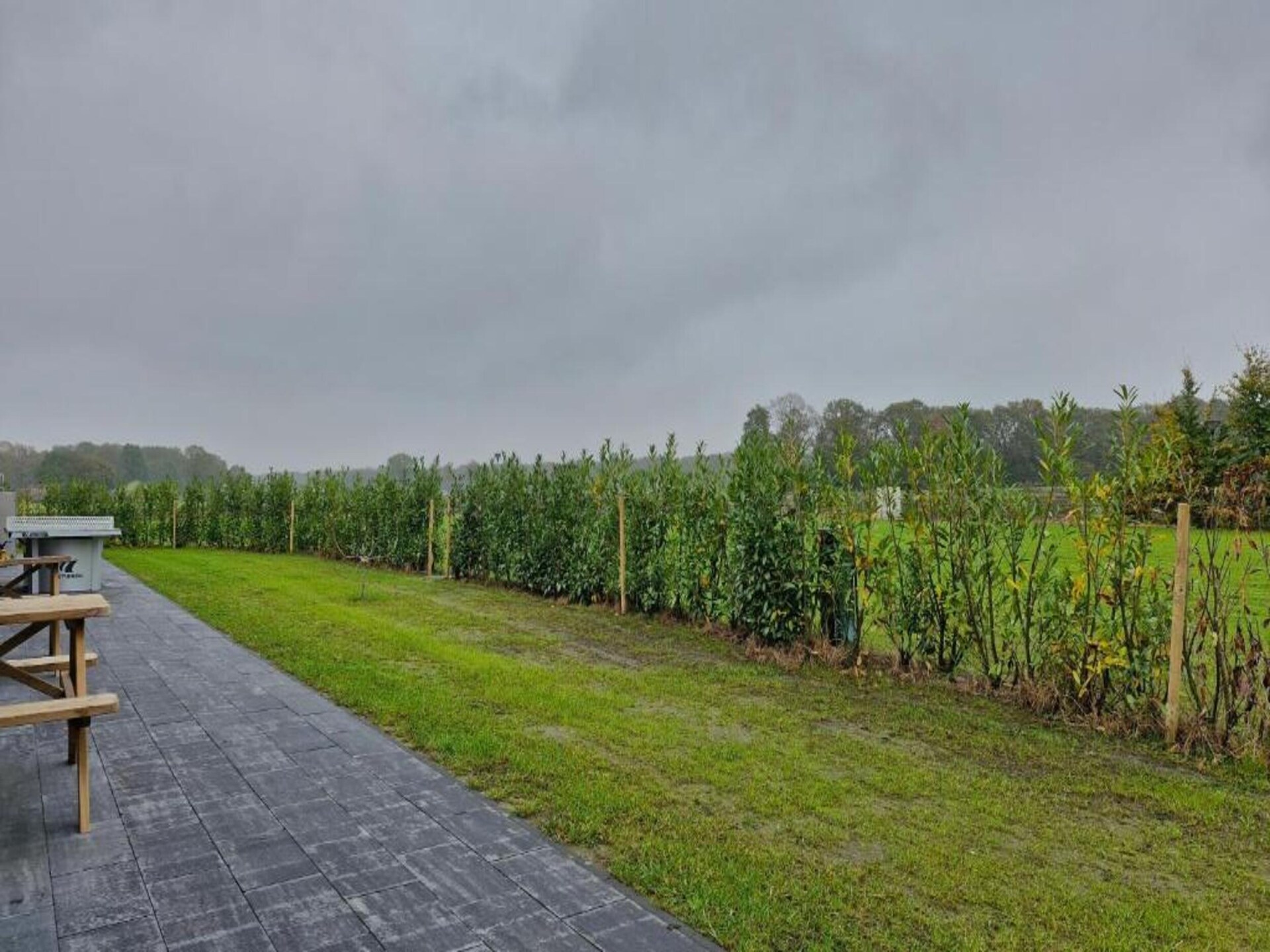 Vrijstaande lodge op Vakantiepark Latour, hartje Brabantse natuur - foto 30