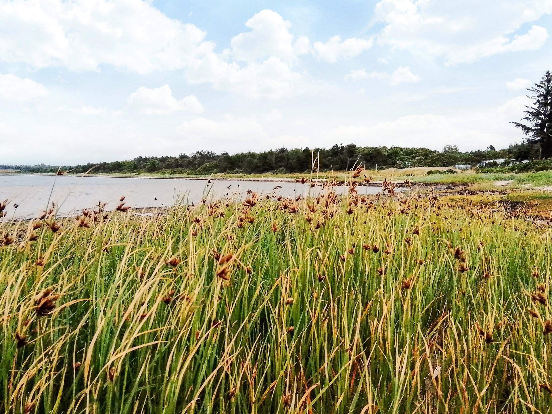 10-persoons vakantiehuis in Farsø op 350 meter van zee - foto 15
