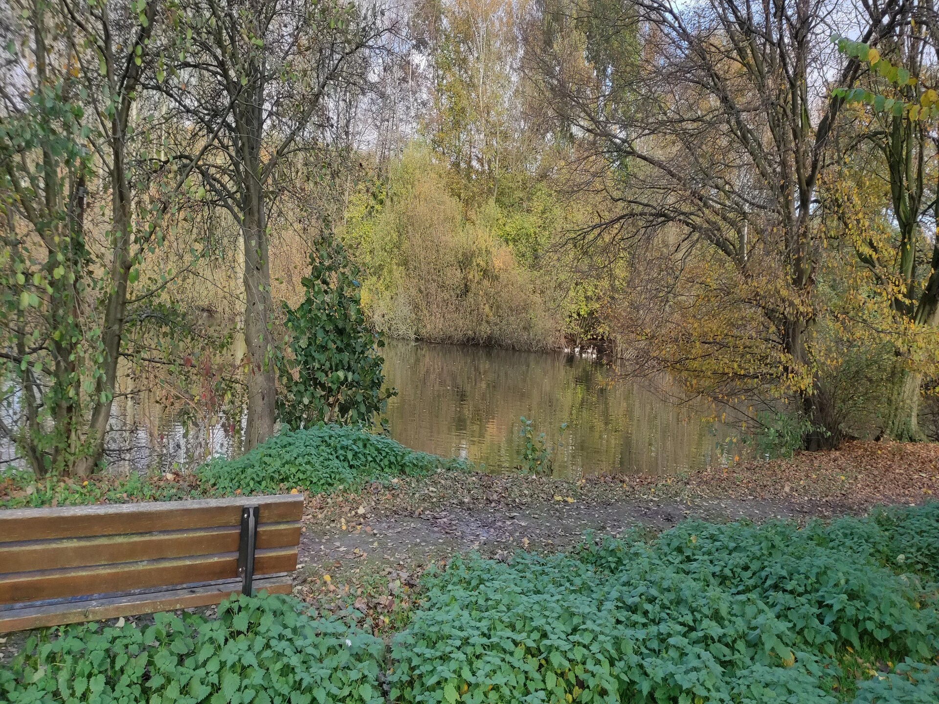 Ruim appartement aan de bosrand bij Bissendorf, 4 personen - foto 23