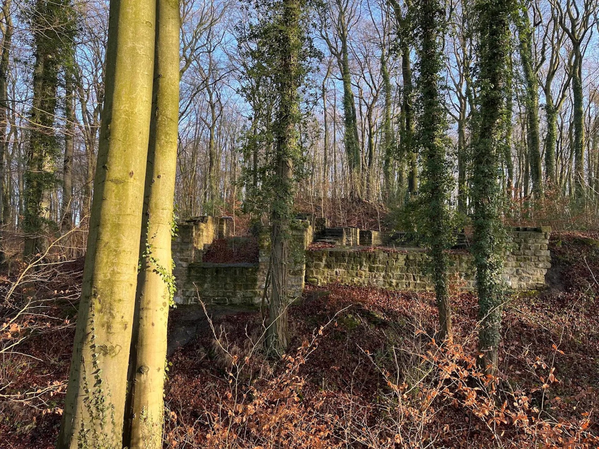 Ruim appartement aan de bosrand bij Bissendorf, 4 personen - foto 33