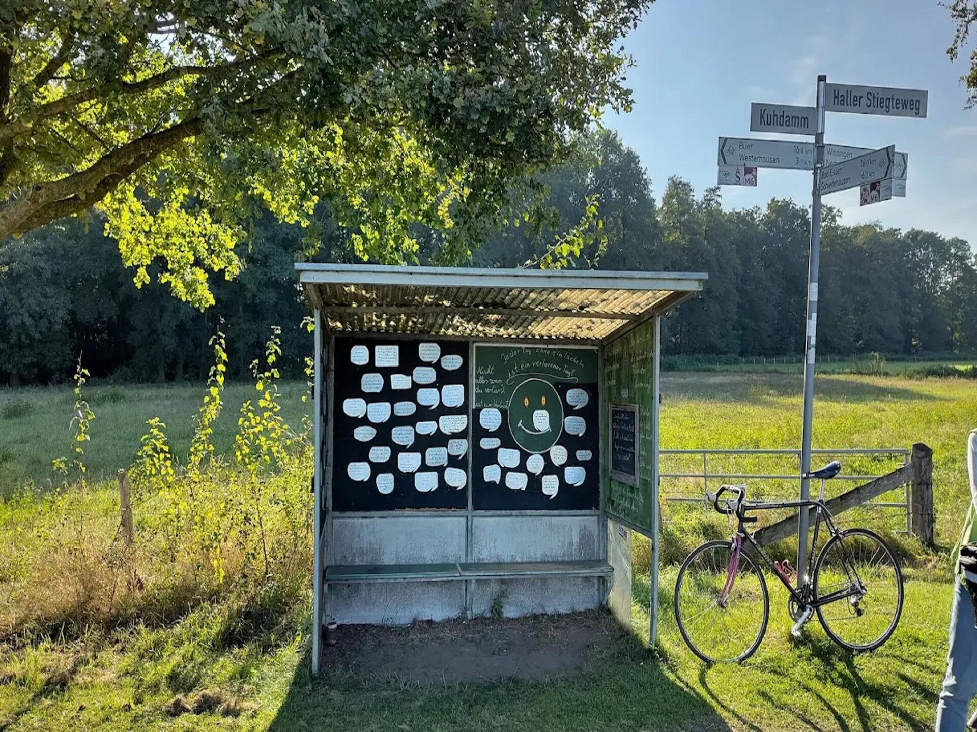 Ruim appartement aan de bosrand bij Bissendorf, 4 personen - foto 30