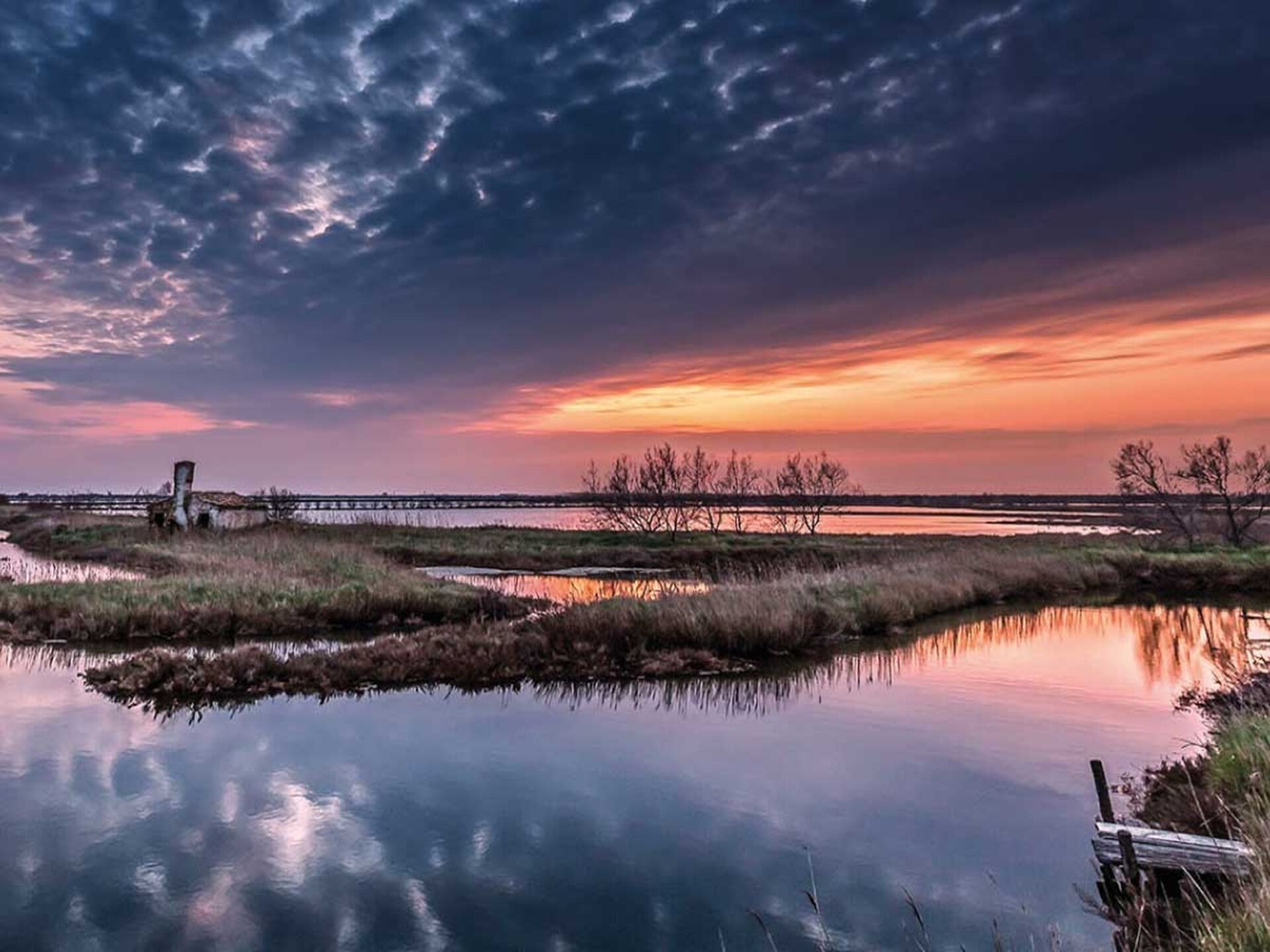 7-persoons appartement aan het strand in Caorle · 7 pers. - foto 31