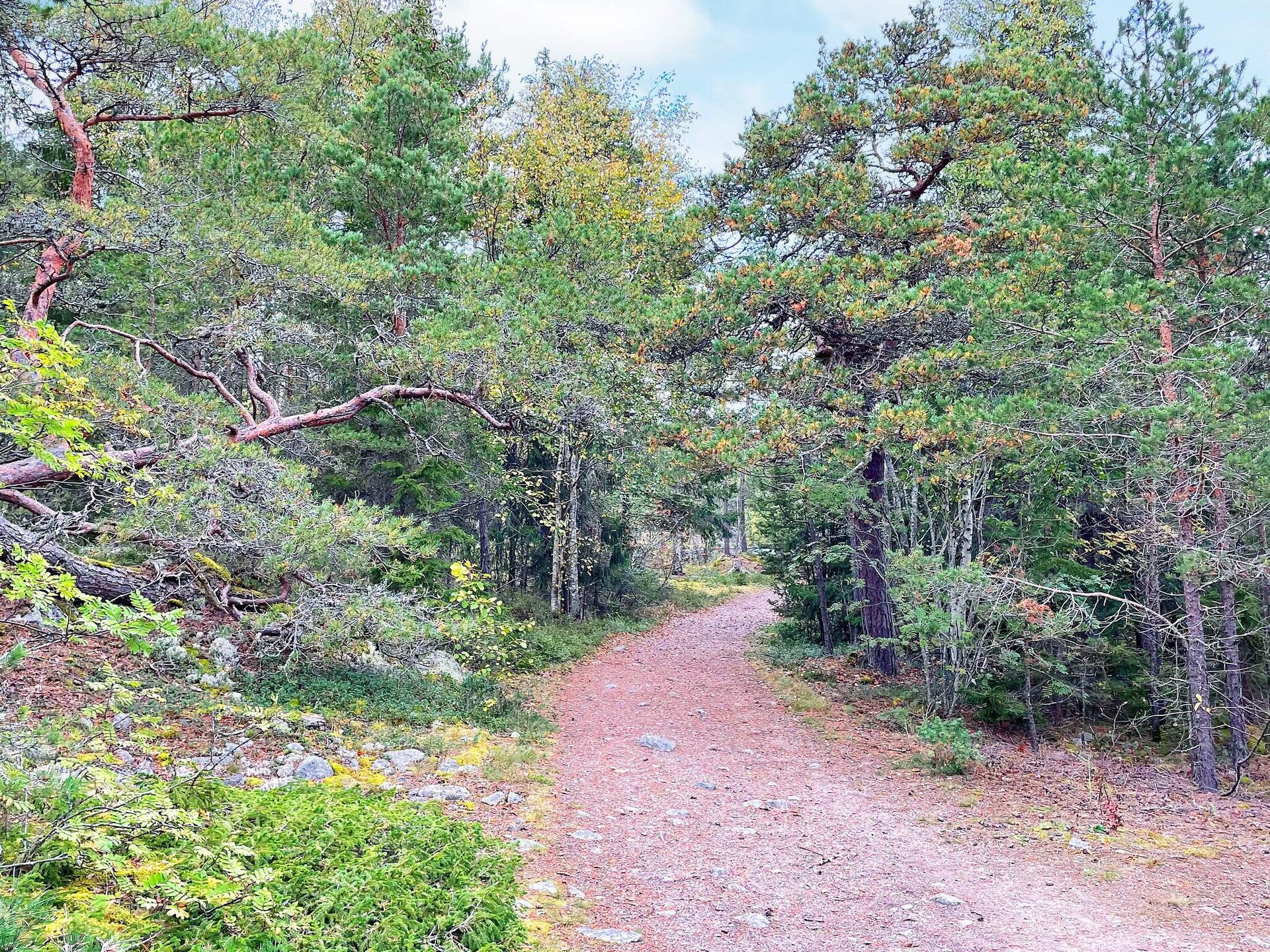 Traditioneel Zweeds vakantiehuis bij de kust van Väddö met gedeeld zwembad - foto 25
