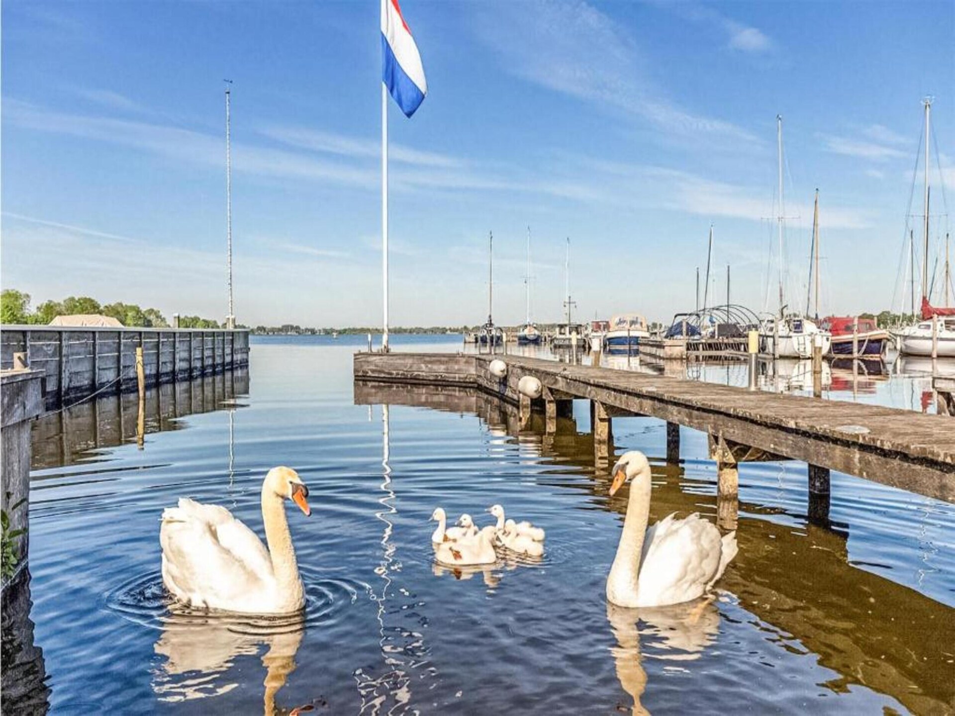 Vrijstaand vakantiehuis aan de Loosdrechtse Plassen voor 6 personen - foto 27