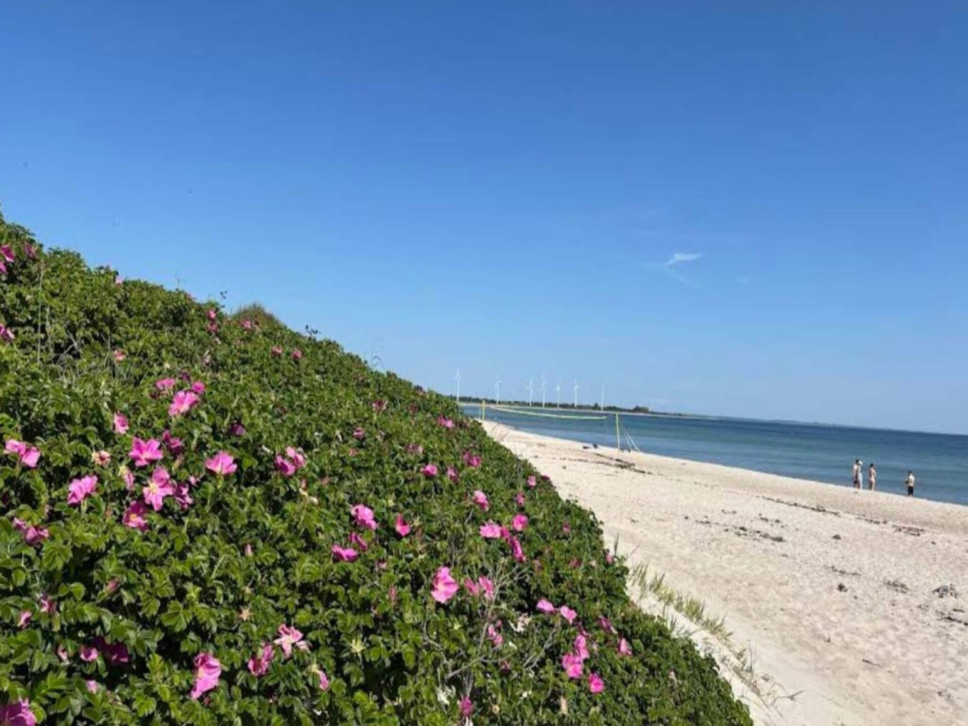 Zonovergoten vakantiehuis aan de golfbaan bij Skovmose, 620m van strand - foto 18