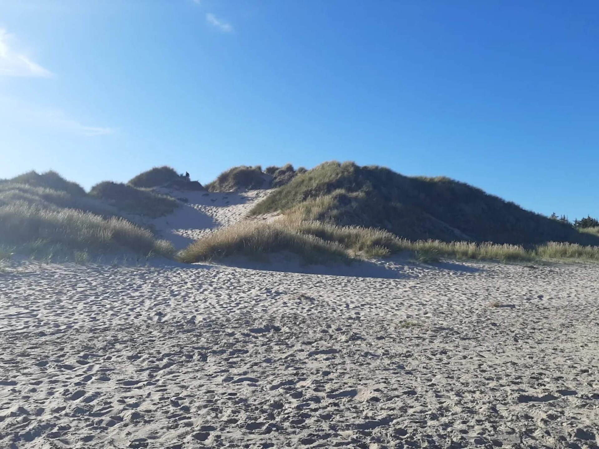 Golfbaan op 600m: Modern vakantiehuis voor 12 personen in Ålbæk - foto 6