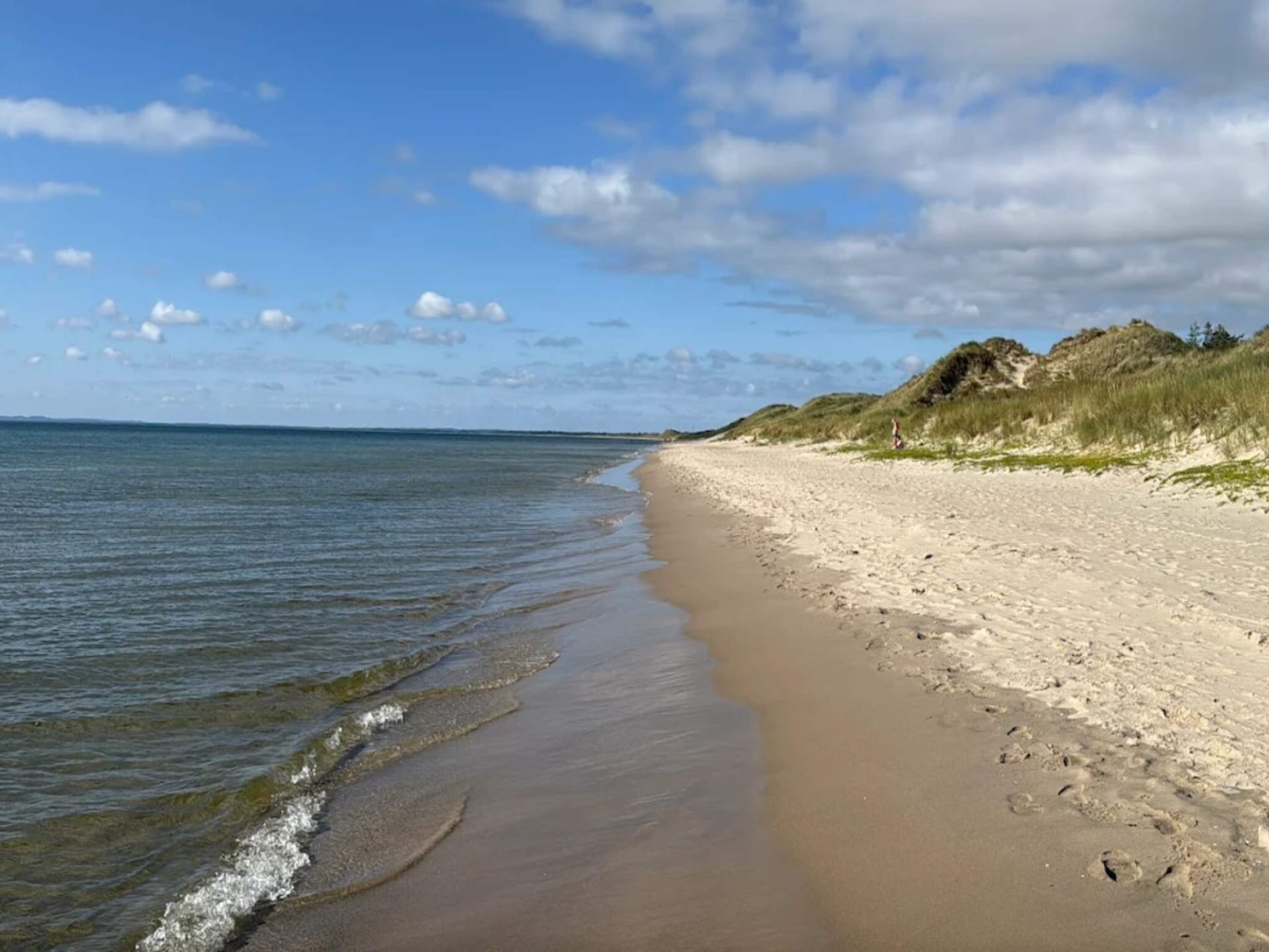 Golfbaan op 600m: Modern vakantiehuis voor 12 personen in Ålbæk - foto 9