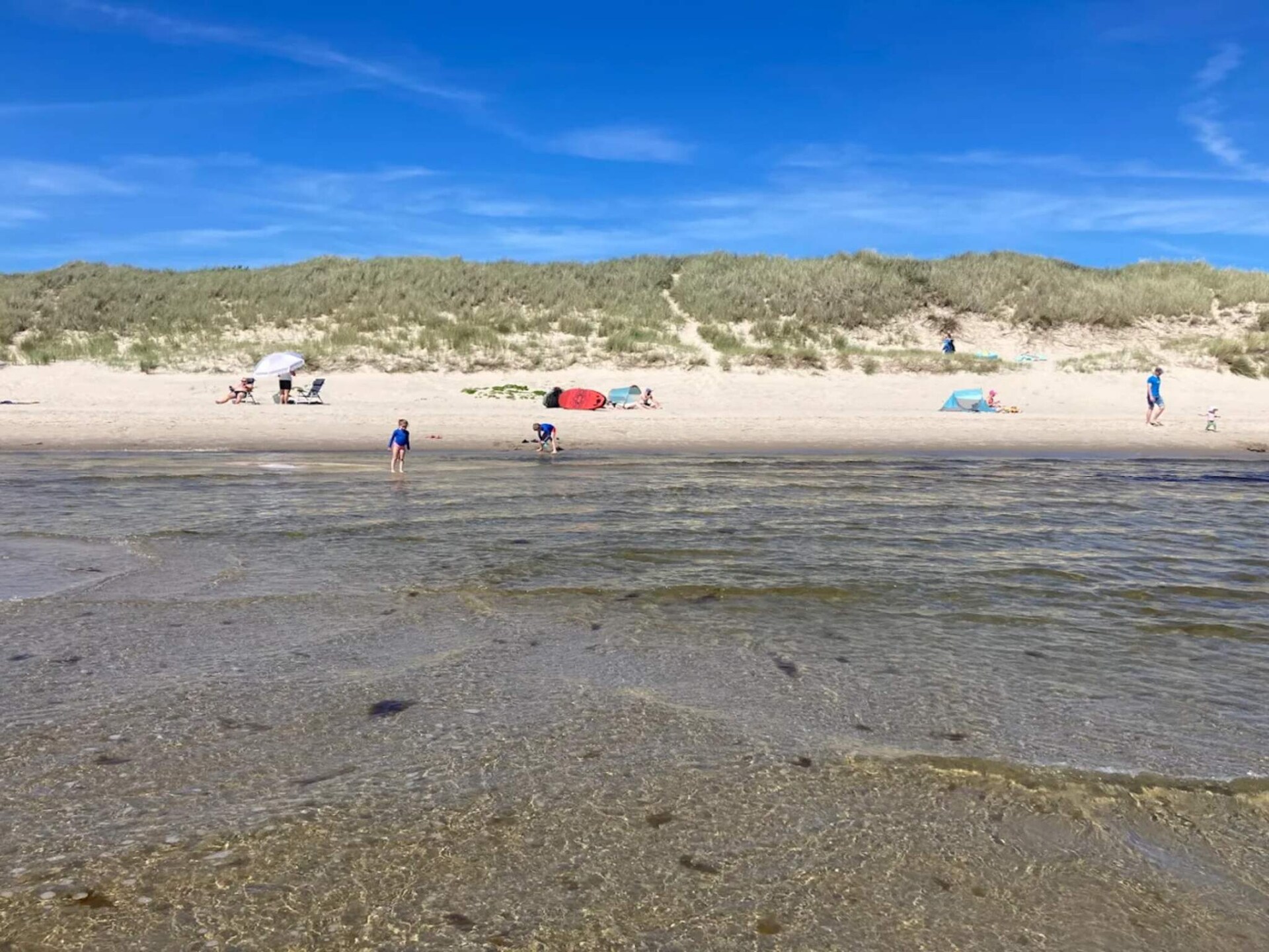 Golfbaan op 600m: Modern vakantiehuis voor 12 personen in Ålbæk - foto 12