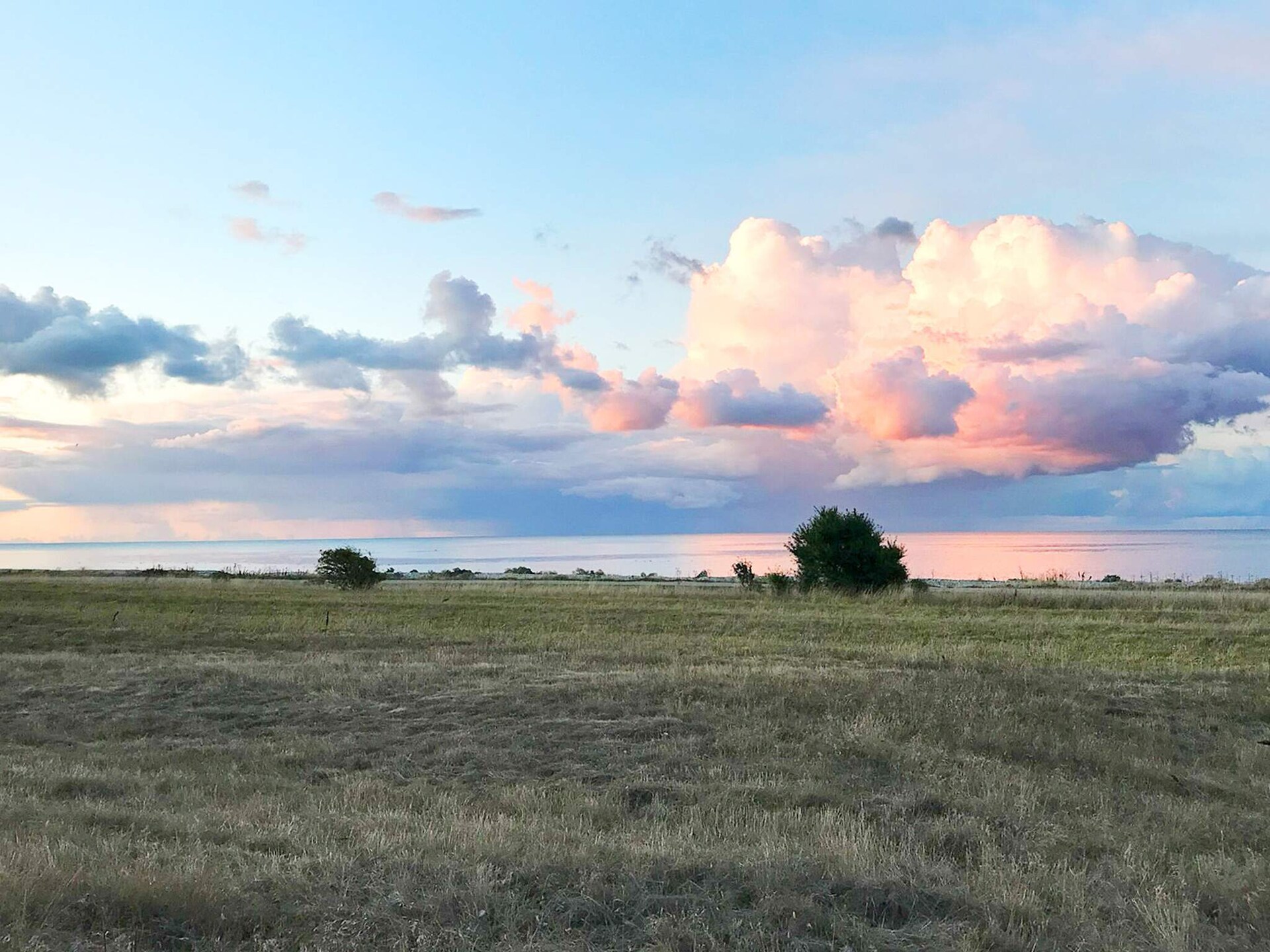 Vrijstaand vakantiehuis op 10.000 m² met weids uitzicht over het Kattegat - foto 13