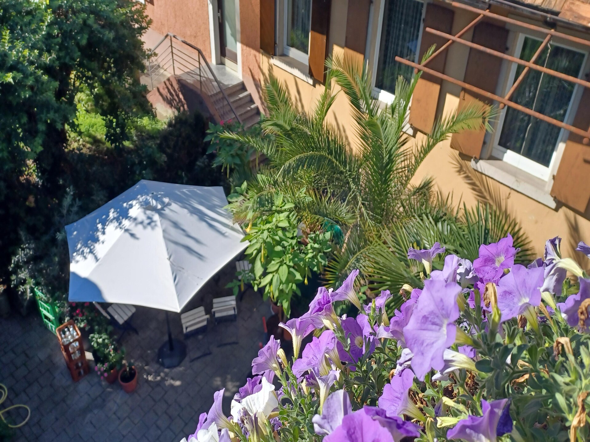 Monet: Wijnhuisappartement met tuin aan de Kaiserstuhl, 4km van het meer - foto 11