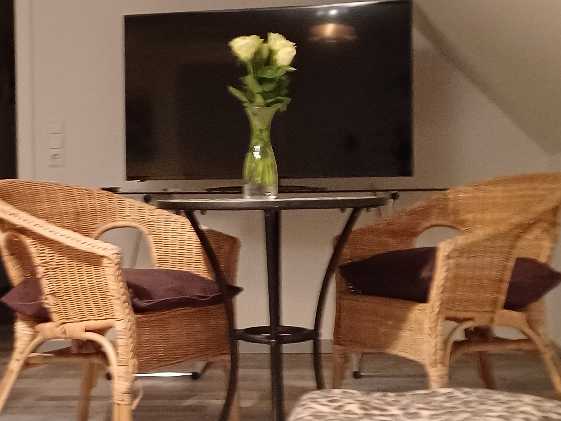 Monet: Wijnhuisappartement met tuin aan de Kaiserstuhl, 4km van het meer - foto 7