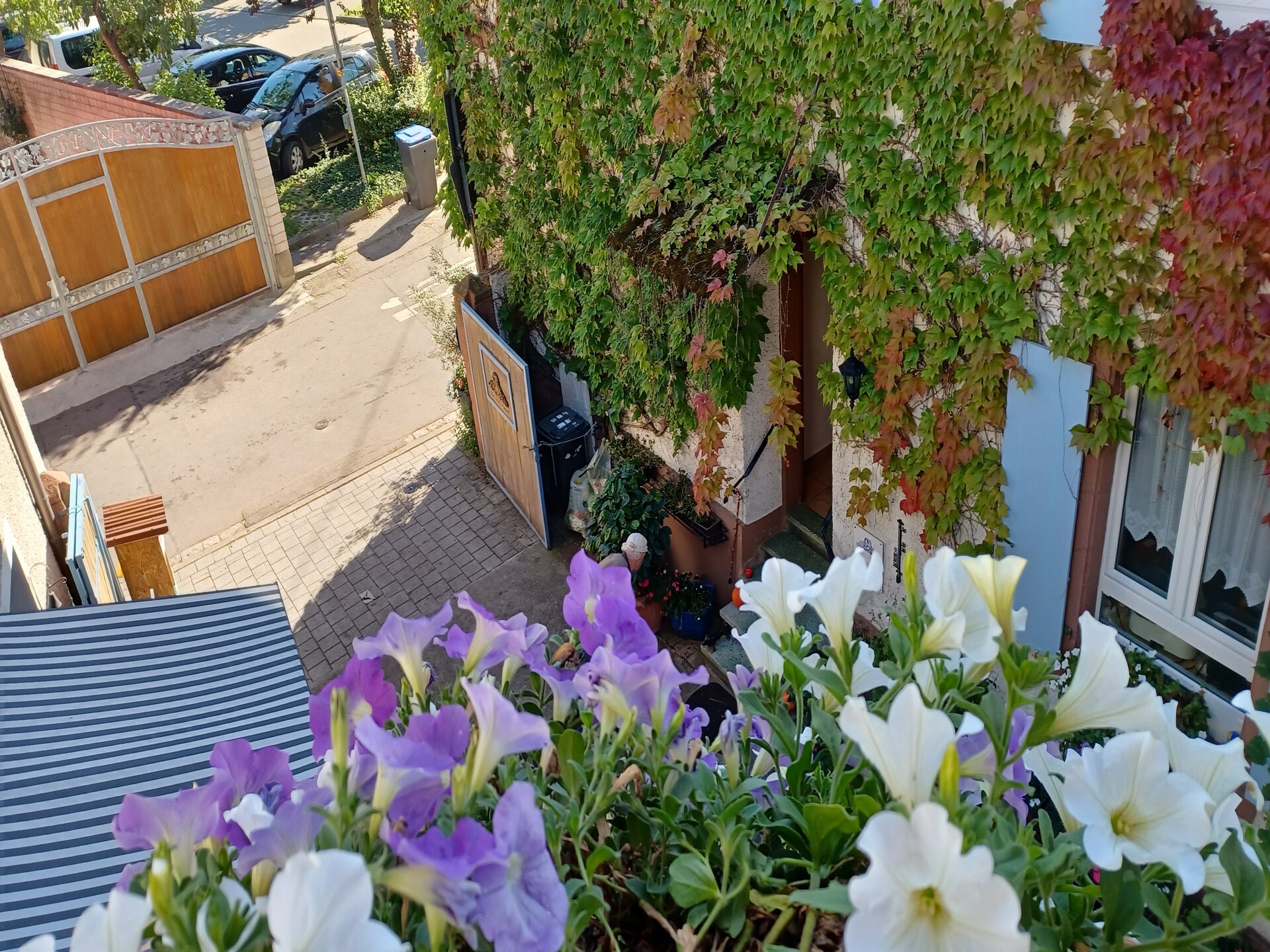 Monet: Wijnhuisappartement met tuin aan de Kaiserstuhl, 4km van het meer - foto 17