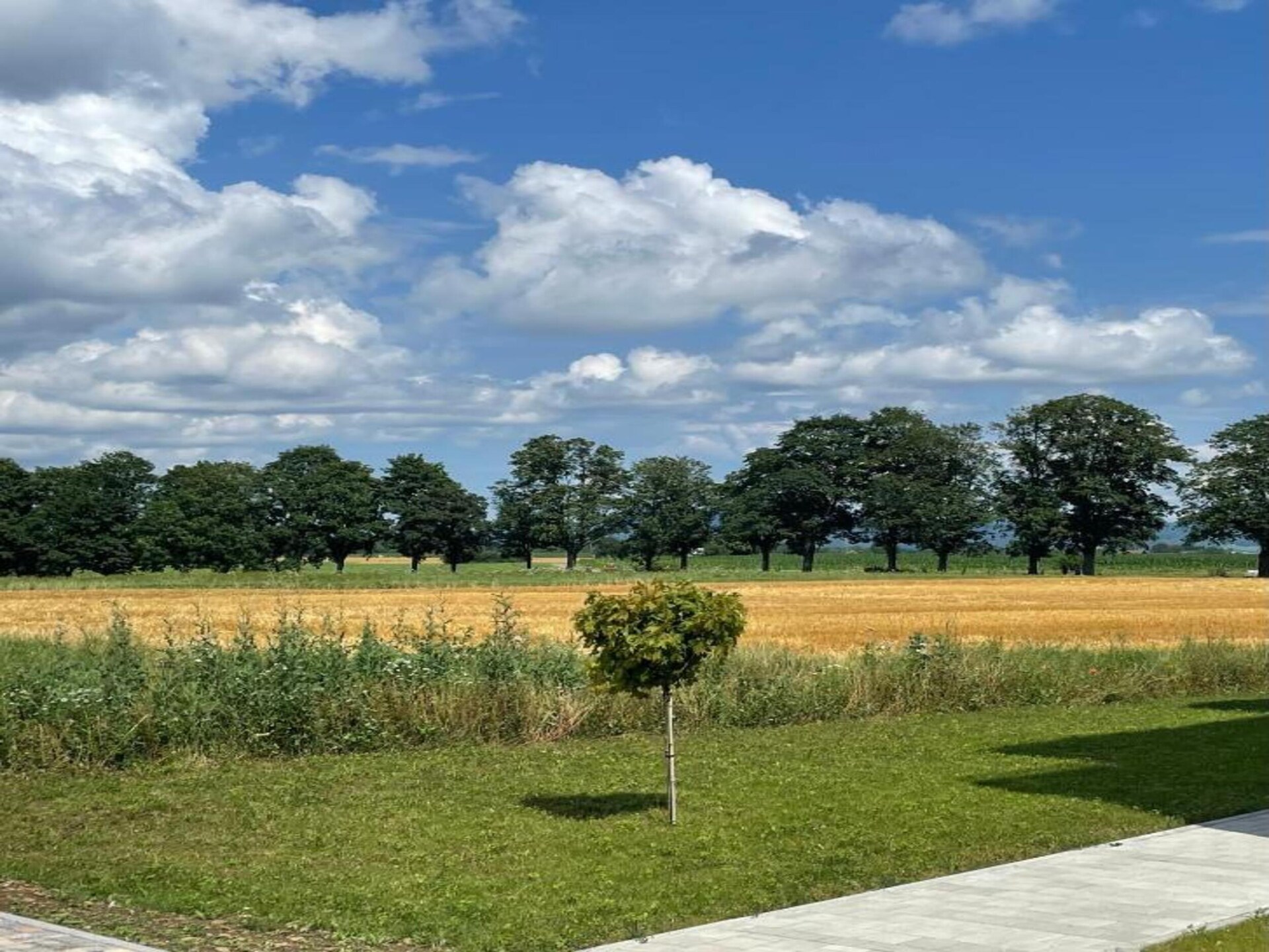 Monet: Wijnhuisappartement met tuin aan de Kaiserstuhl, 4km van het meer - foto 24