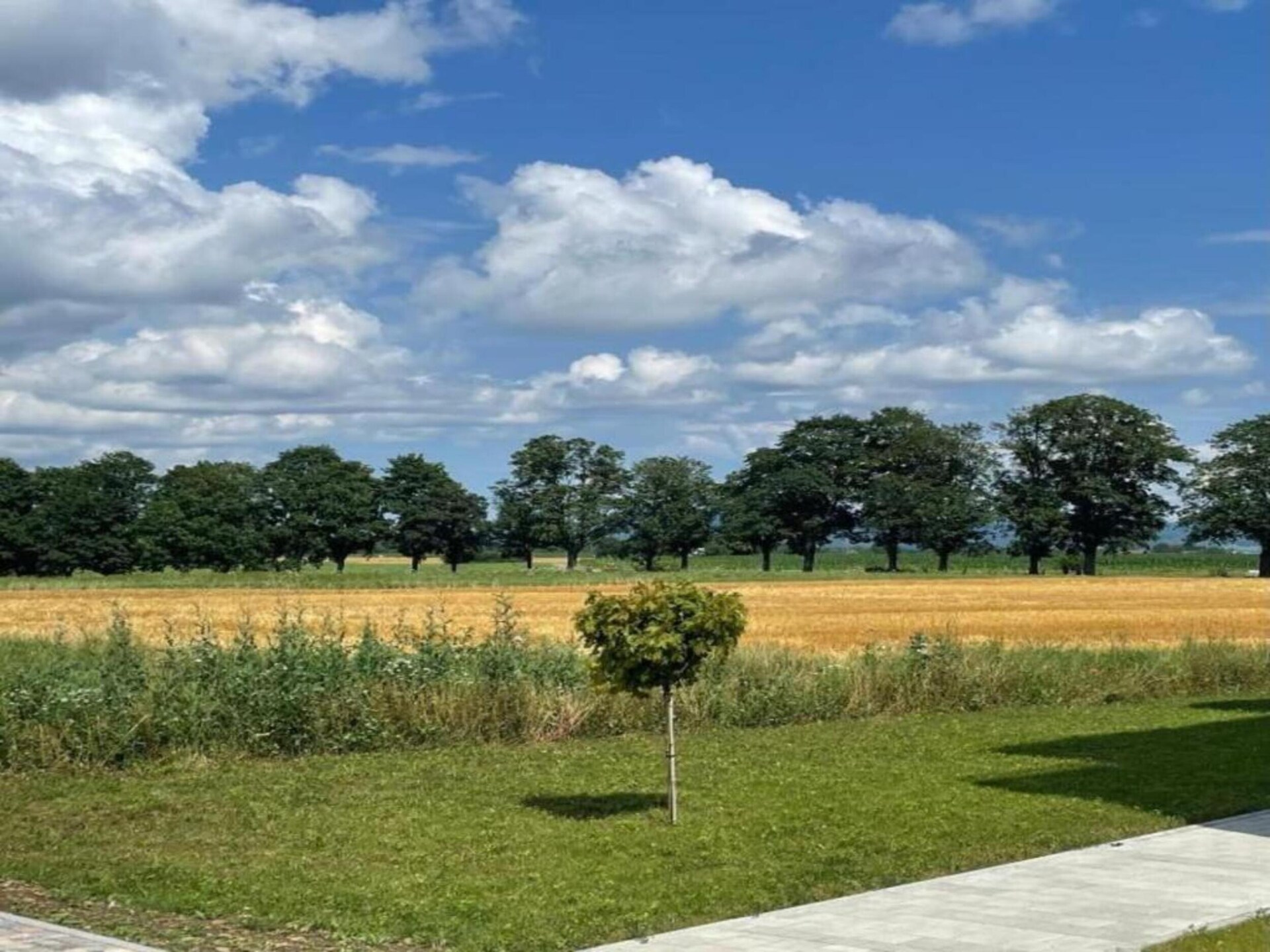 Monet: Wijnhuisappartement met tuin aan de Kaiserstuhl, 4km van het meer - foto 31