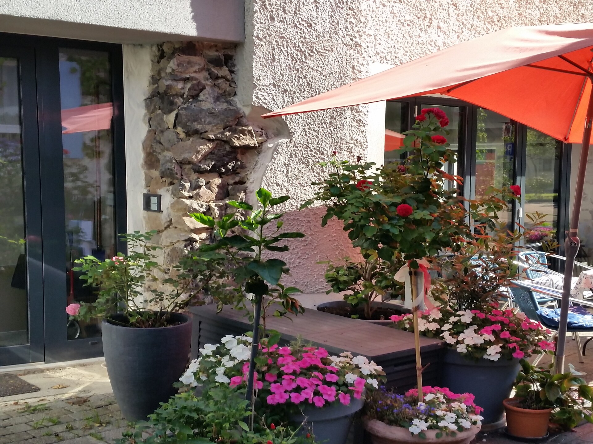 Van Gogh Appartement: Wijn & Rust in Oberrotweil | 2 pers. - foto 11