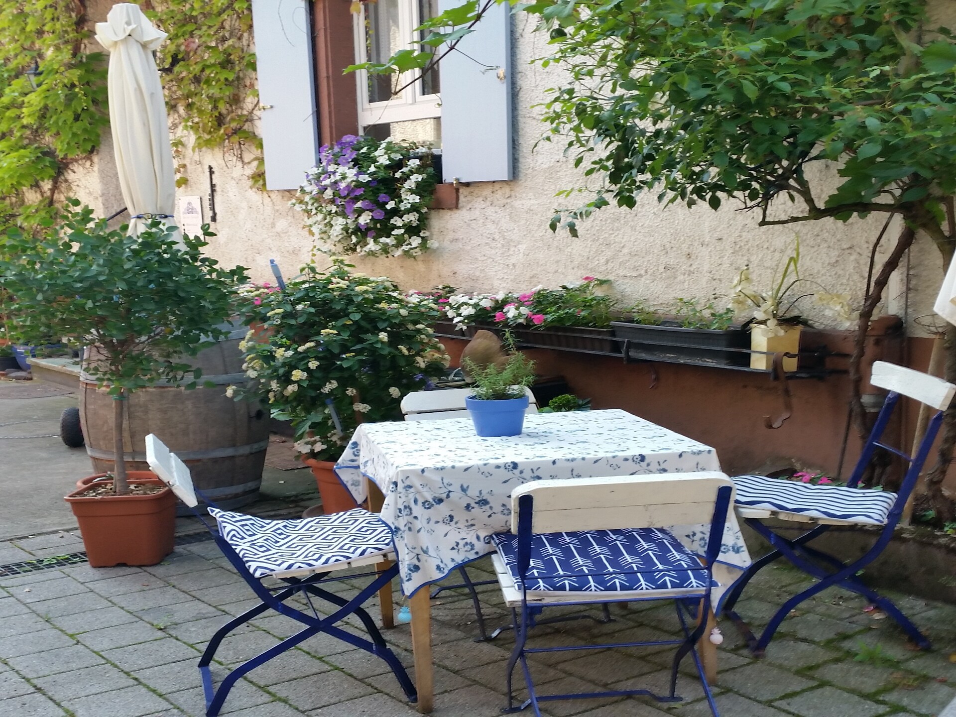 Van Gogh Appartement: Wijn & Rust in Oberrotweil | 2 pers. - foto 12