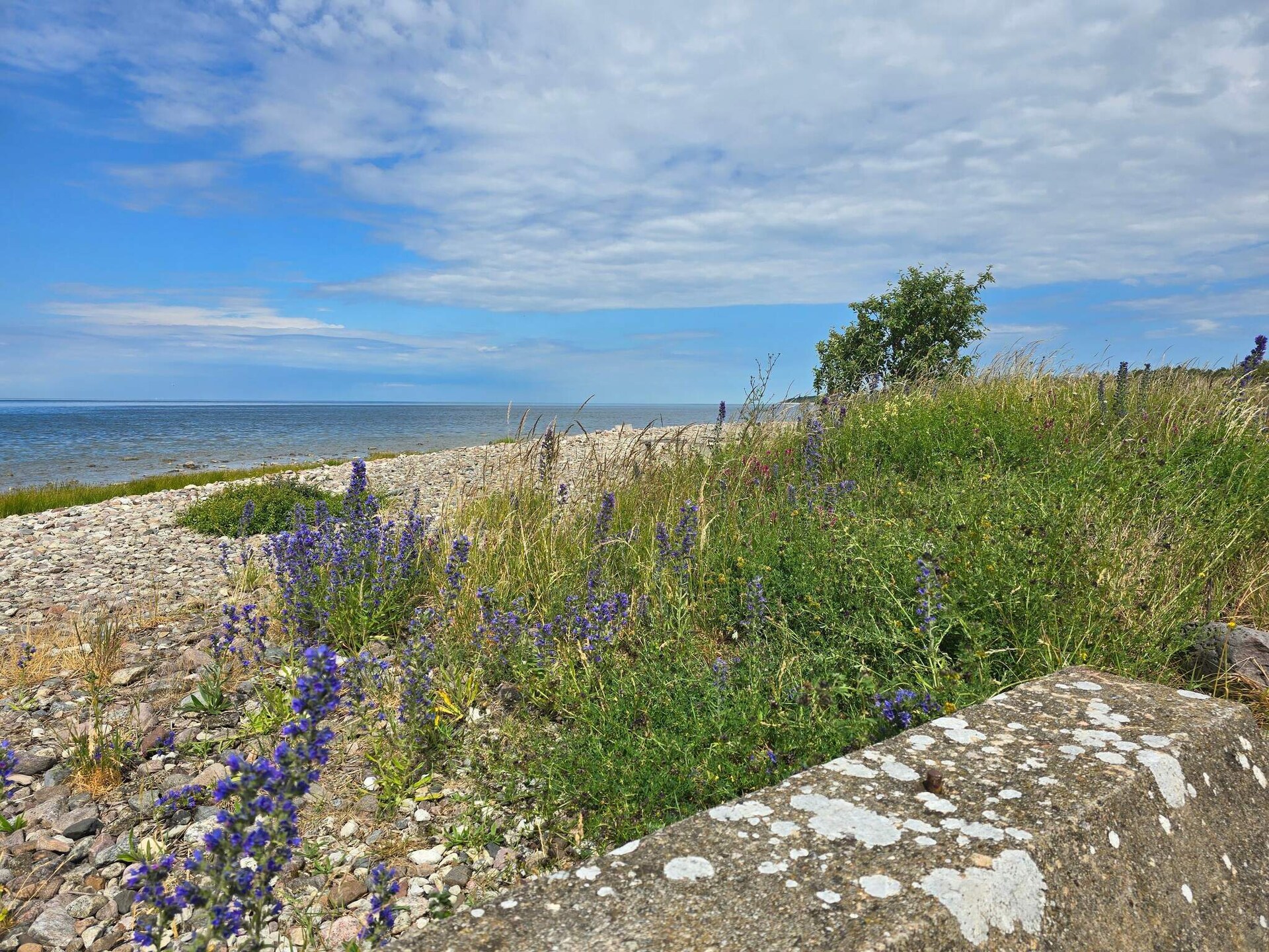 6-persoons vakantiehuis in Tofta op Gotland op 850m van zee - foto 15