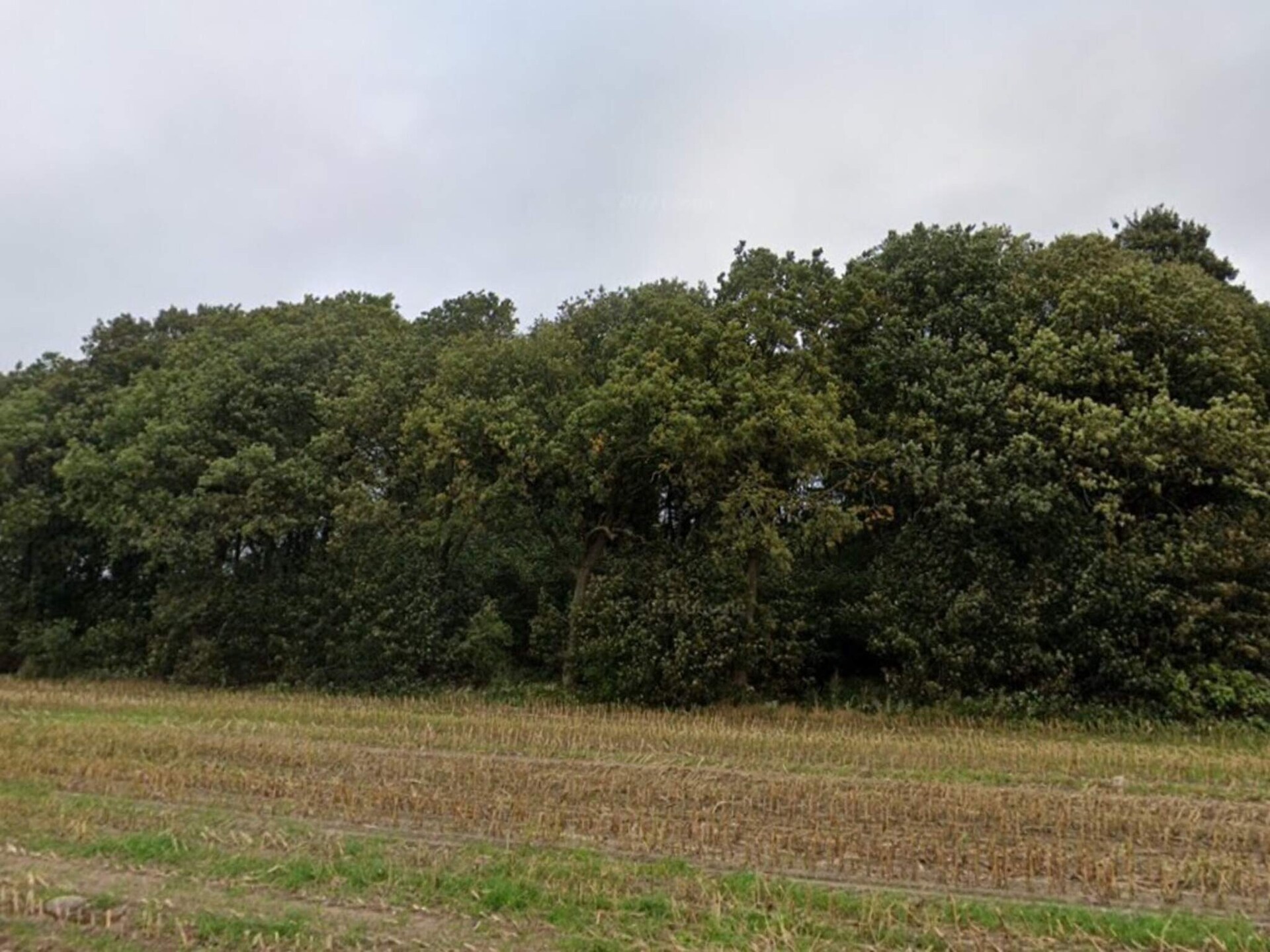 Gezellig vakantiehuis voor 4 personen in Hovborg - foto 2