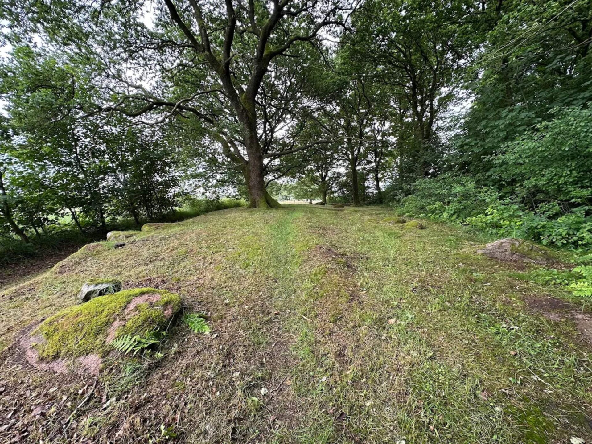Gezellig vakantiehuis voor 4 personen in Hovborg - foto 7
