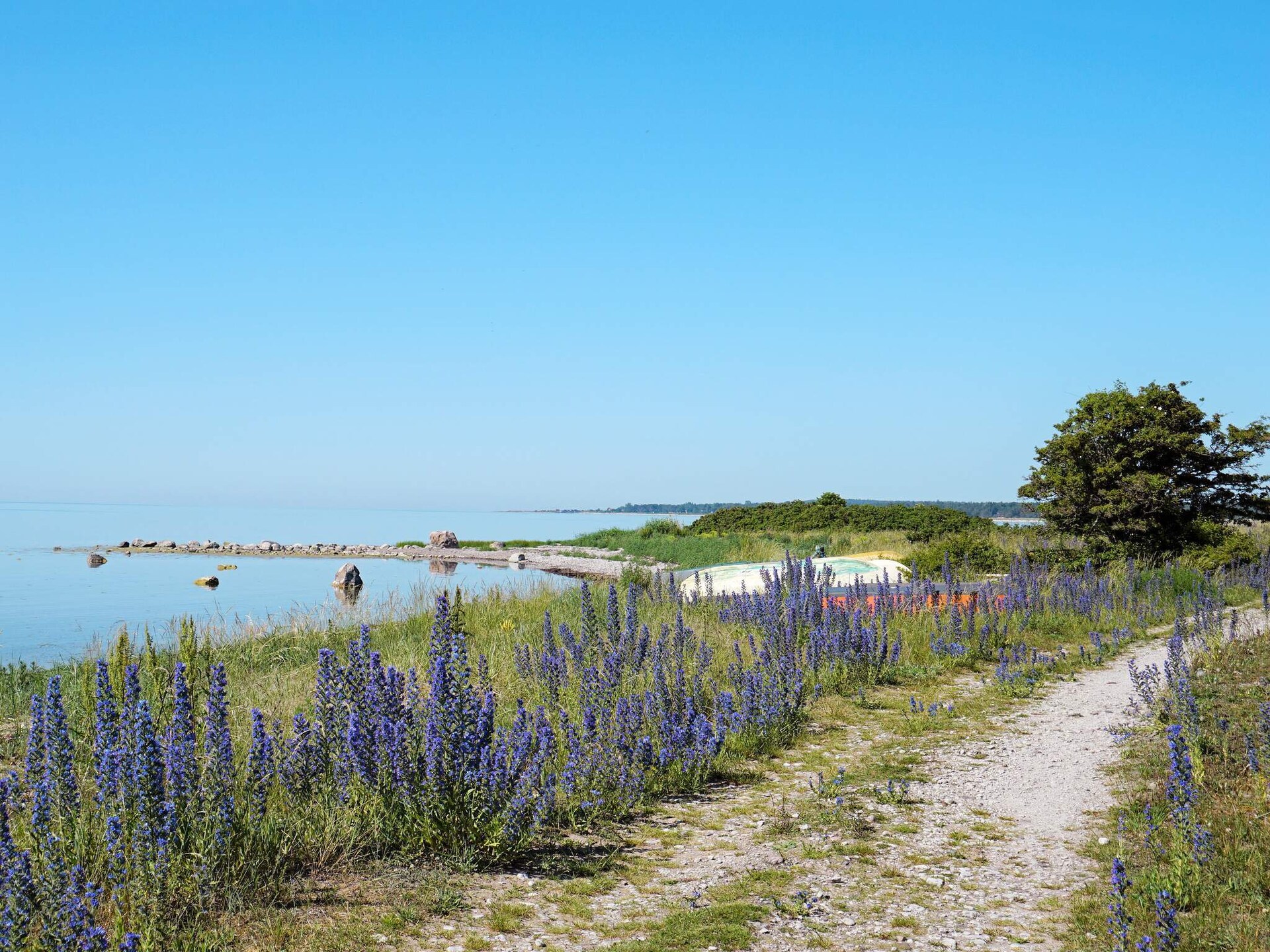 3-persoons vakantiehuis in Visby op 550 m van de zee - foto 6