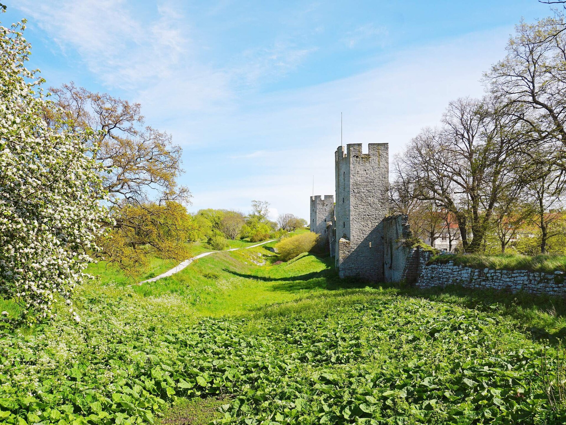 3-persoons vakantiehuis in Visby op 550 m van de zee - foto 7