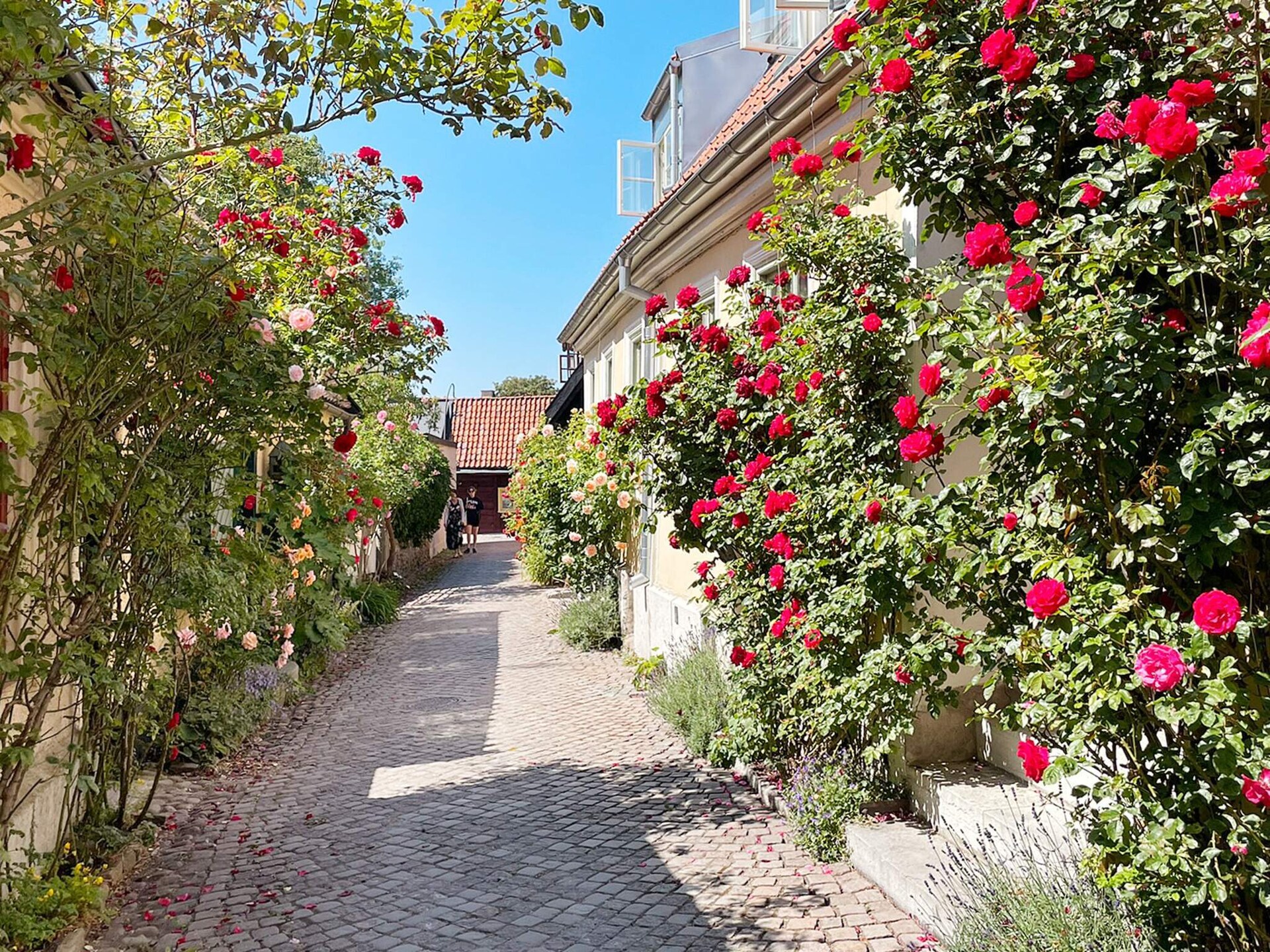 3-persoons vakantiehuis in Visby op 550 m van de zee - foto 9