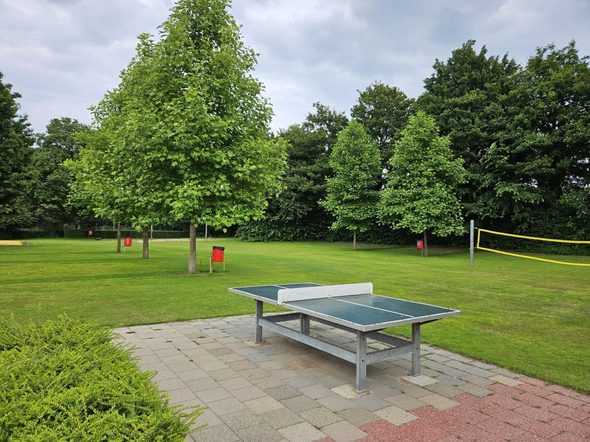 T-boerderij uit 1875 met sauna en landelijke tuin nabij Zutphen - foto 3
