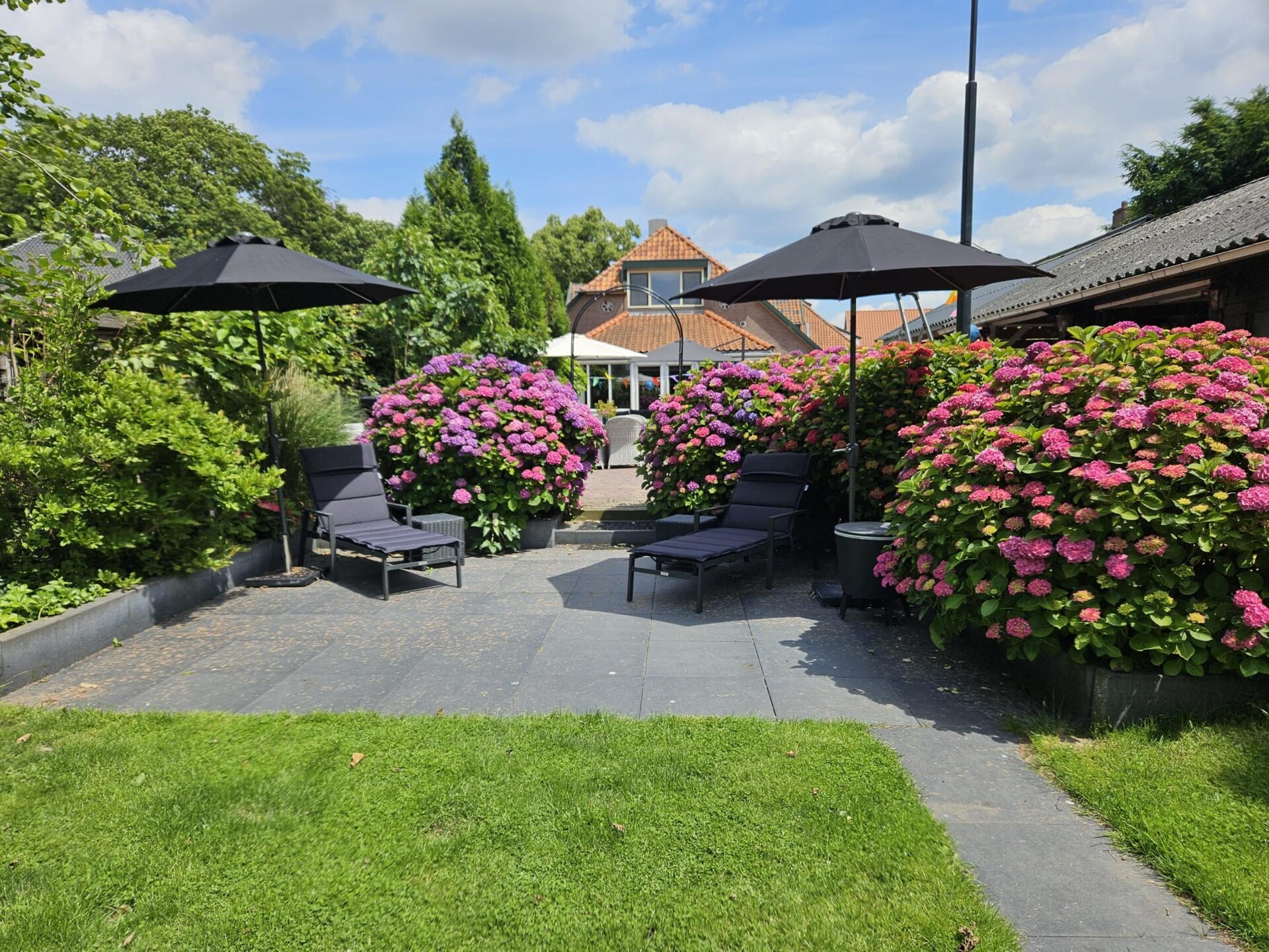T-boerderij uit 1875 met sauna en landelijke tuin nabij Zutphen - foto 29