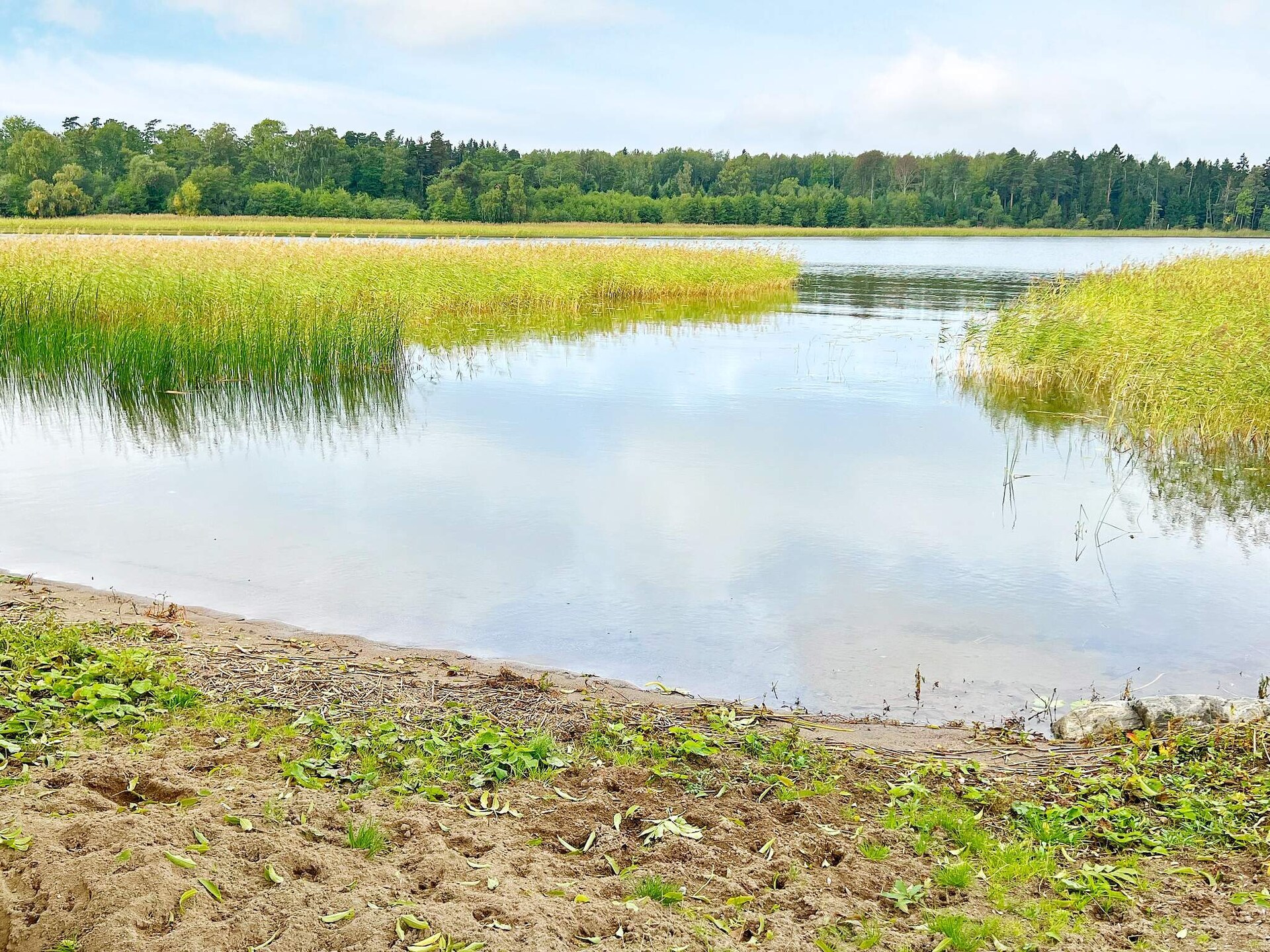Sfeervol vakantiehuis aan het Mälarmeer met privéstrandje bij Munsö - foto 5