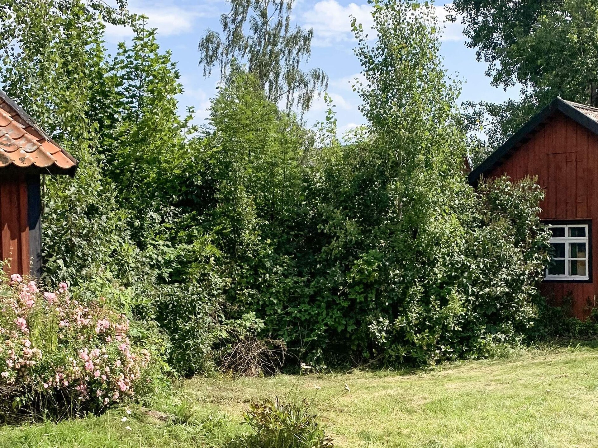 Aan zee: Rustiek vakantiehuis in Loftahammar voor 6 personen - foto 4