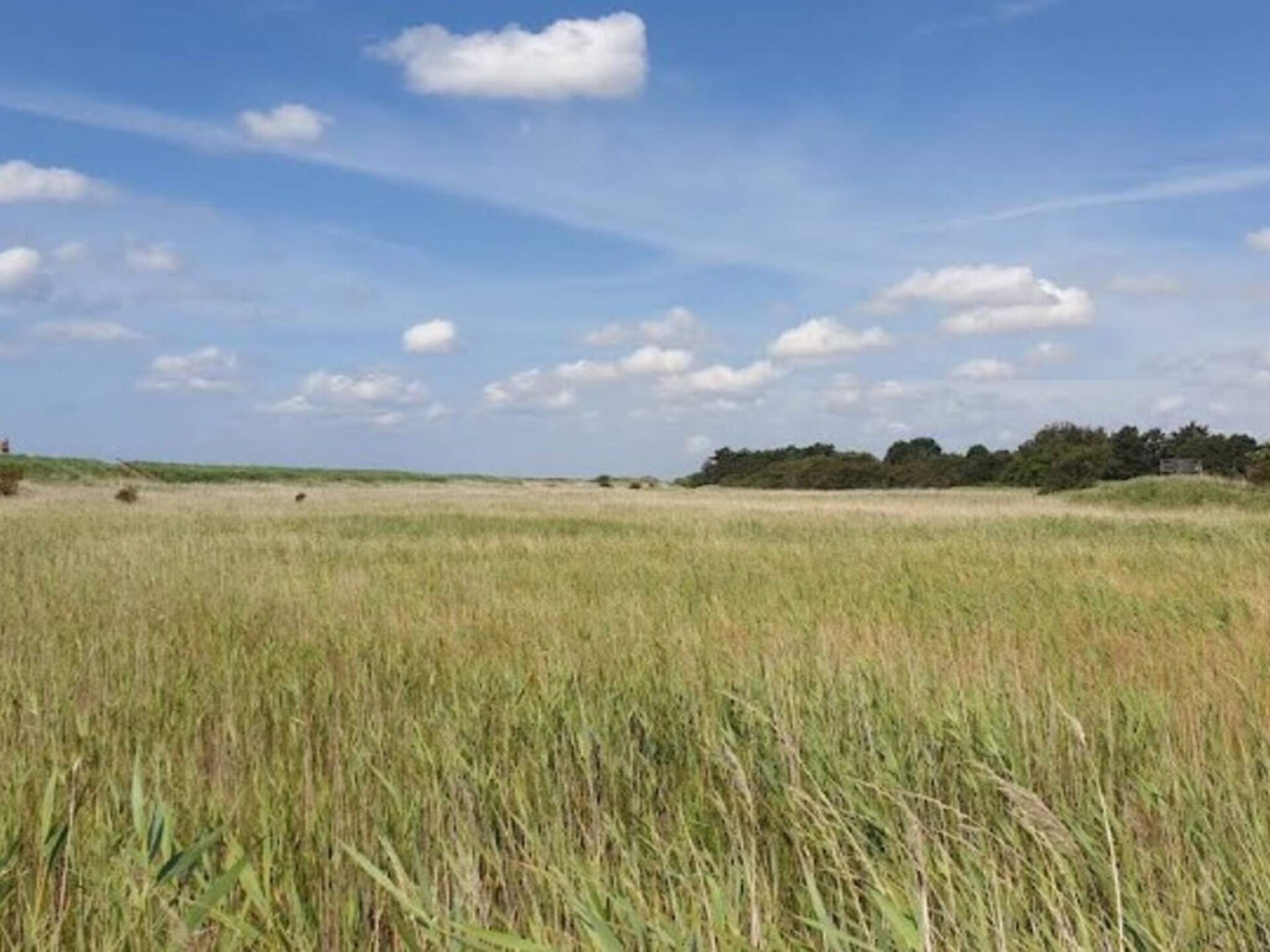 Op 1,0 km van zee: rustgevend vakantiehuis in Asaa - foto 18