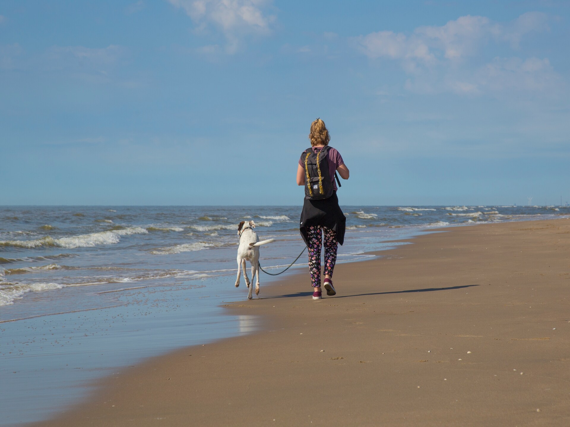 Comfortabel vakantiehuis op rustig park bij strand Noordwijk - foto 24