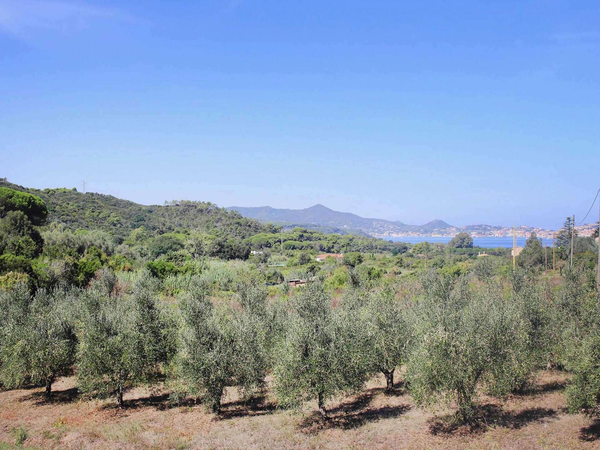 Biocasa Fabiana: Vrijstaand vakantiehuis voor 8 bij zee in Magazzini, Elba - foto 19