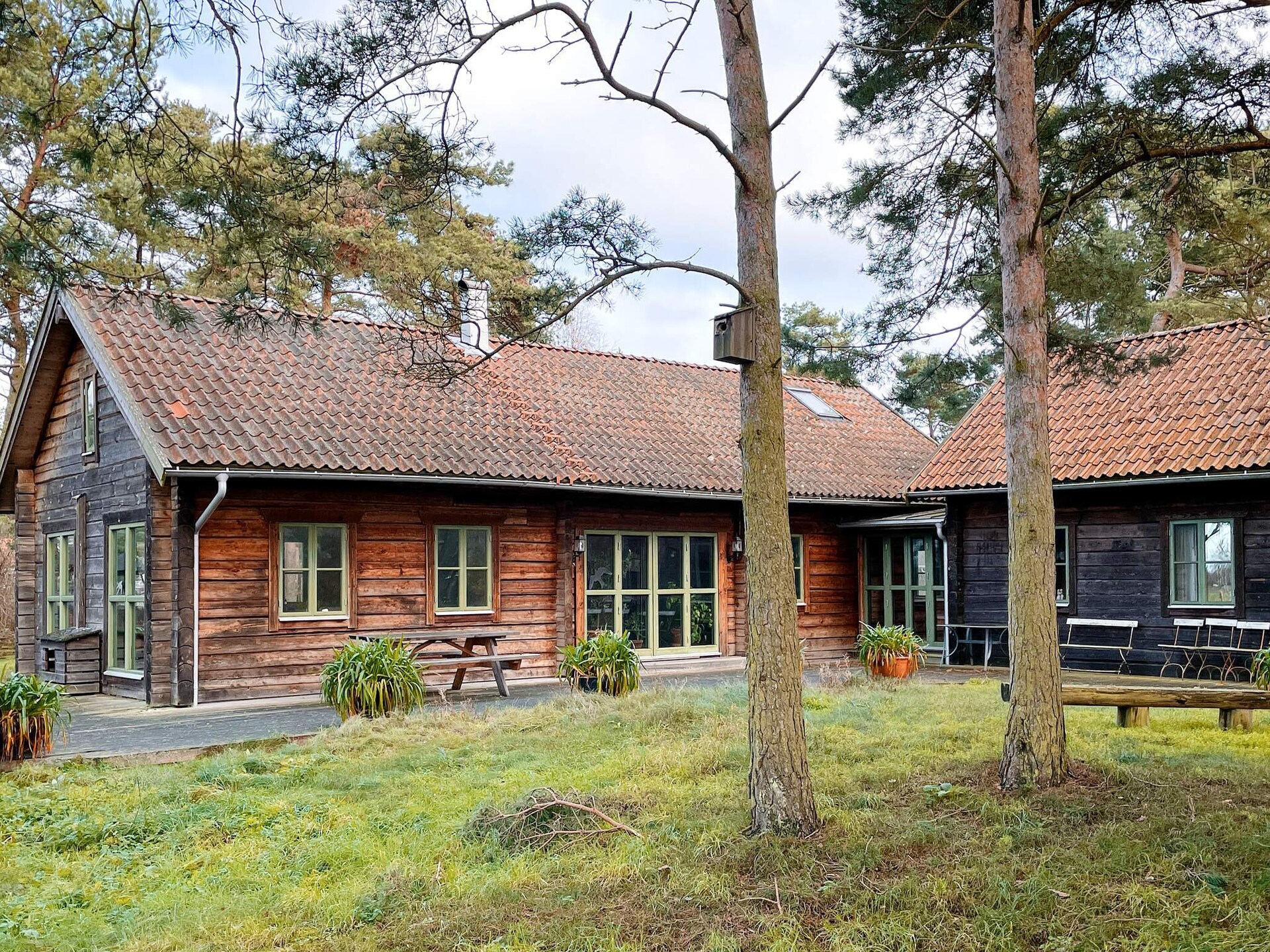 Op 1,2 km van zee: ruim vakantiehuis in Yngsjö voor 8 personen - foto 3